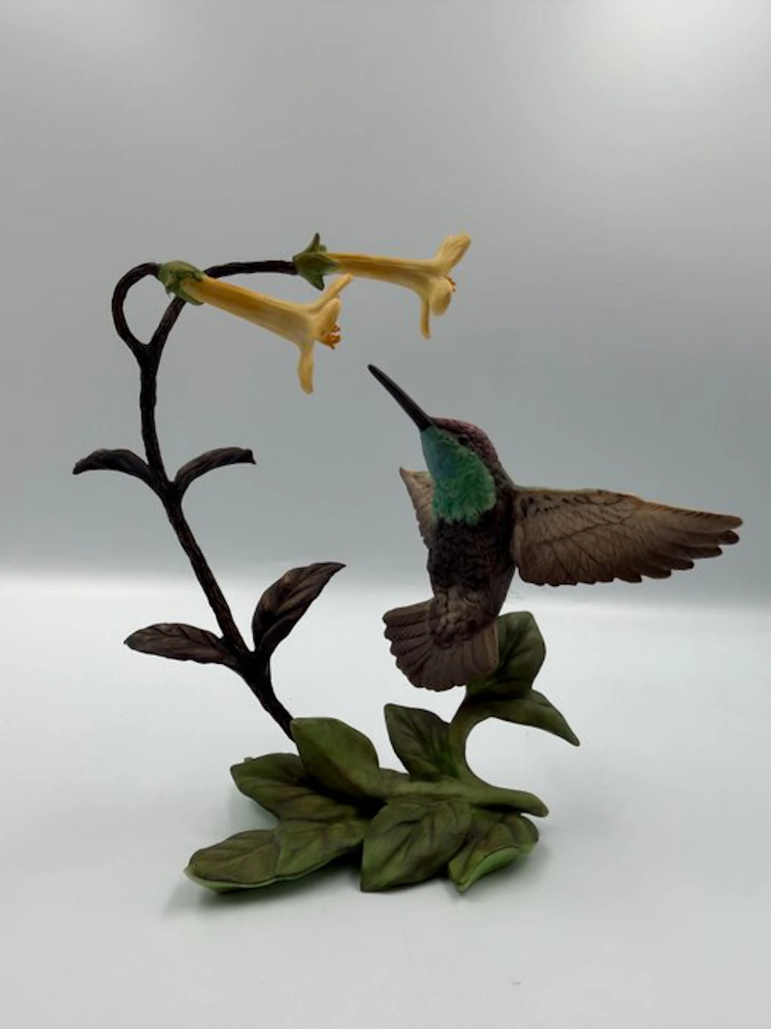 Rivoli & Bois-Pissenlits Hummingbird – The Hummingbirds