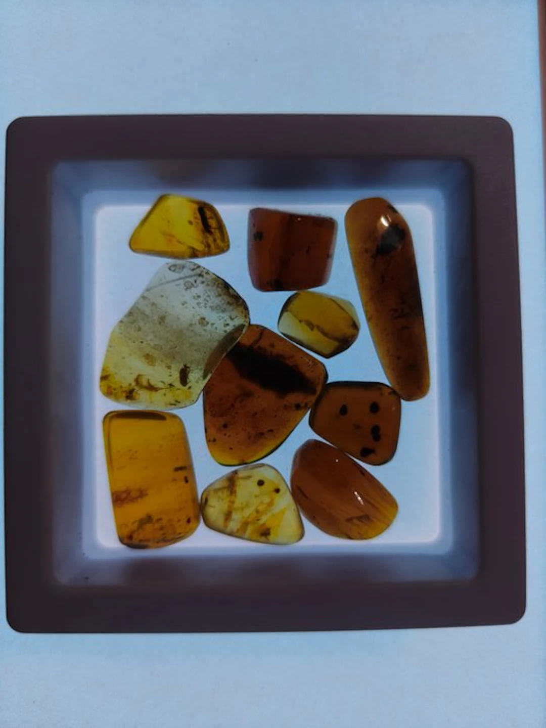 Burmese amber - Amber (No reserve price)