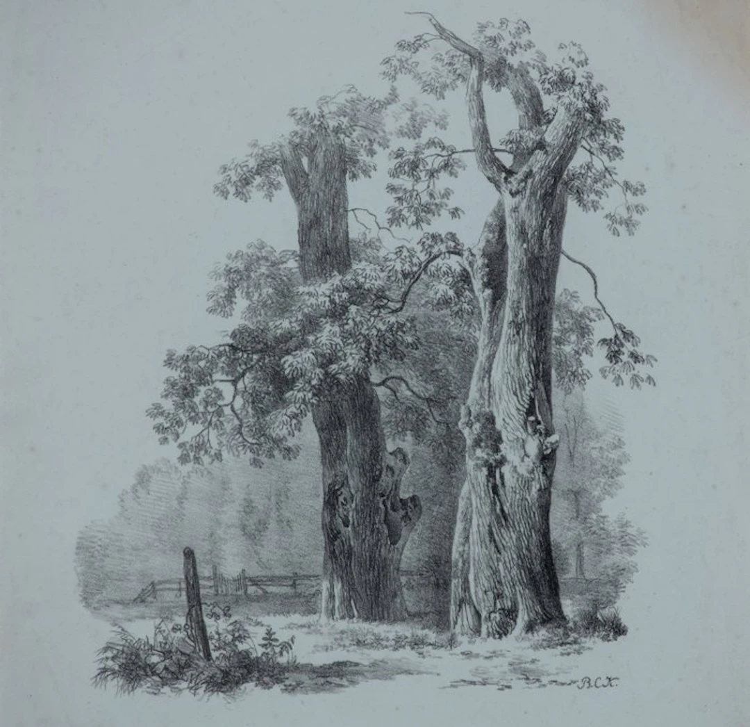 Barend Cornelis Koekkoek (1803-1862) - Bosthema Studiereis Tekening