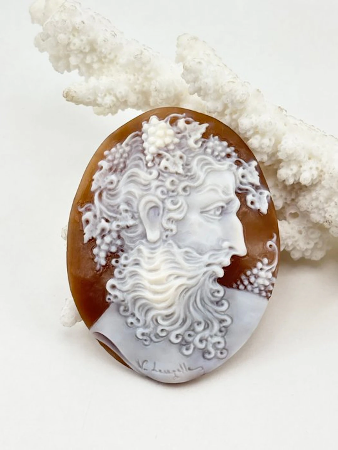 Cassis madagascariensis Cameo - Hand-engraved cameo