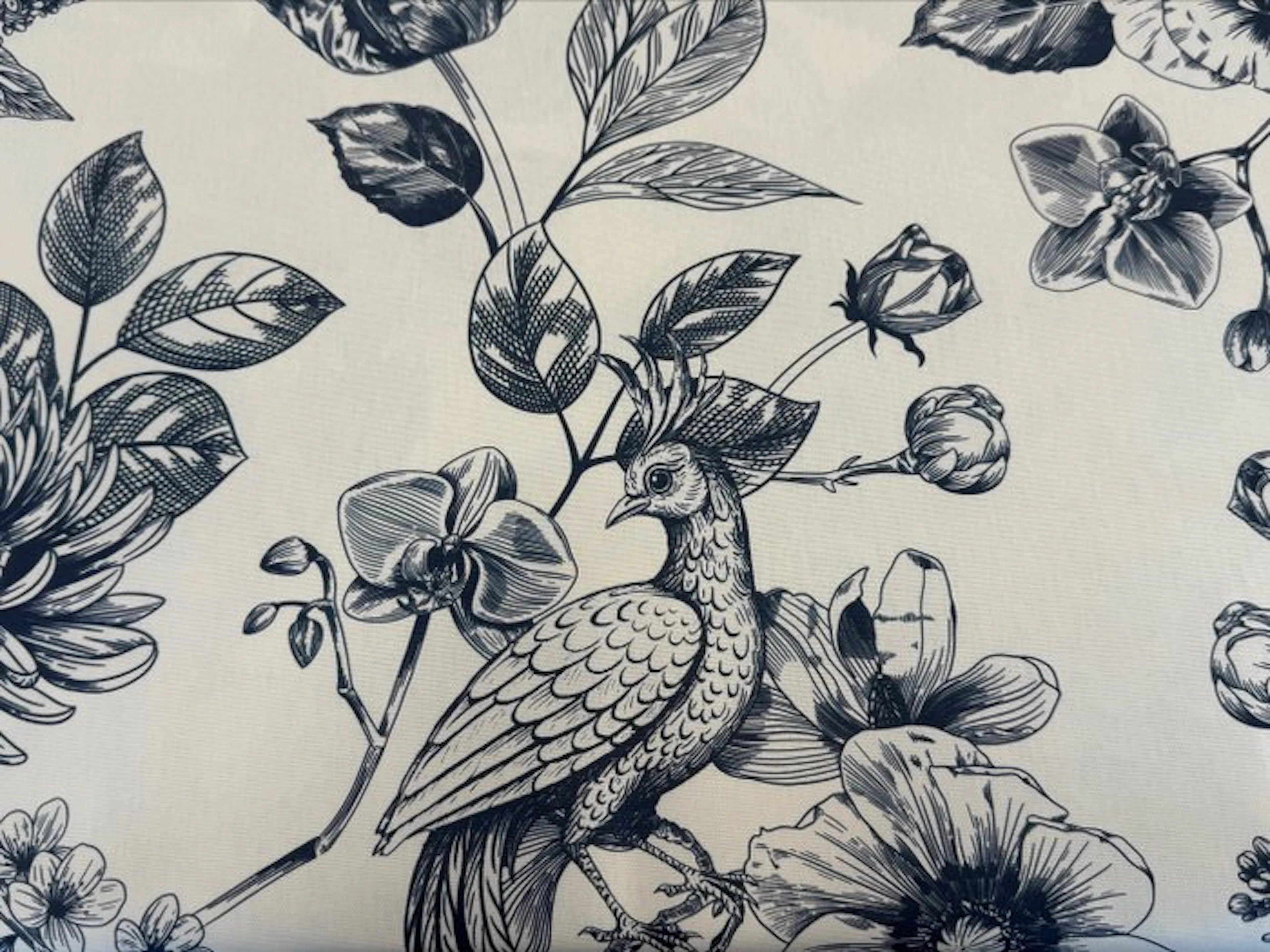 Engraved Botanical Garden with Bird of Paradise...
