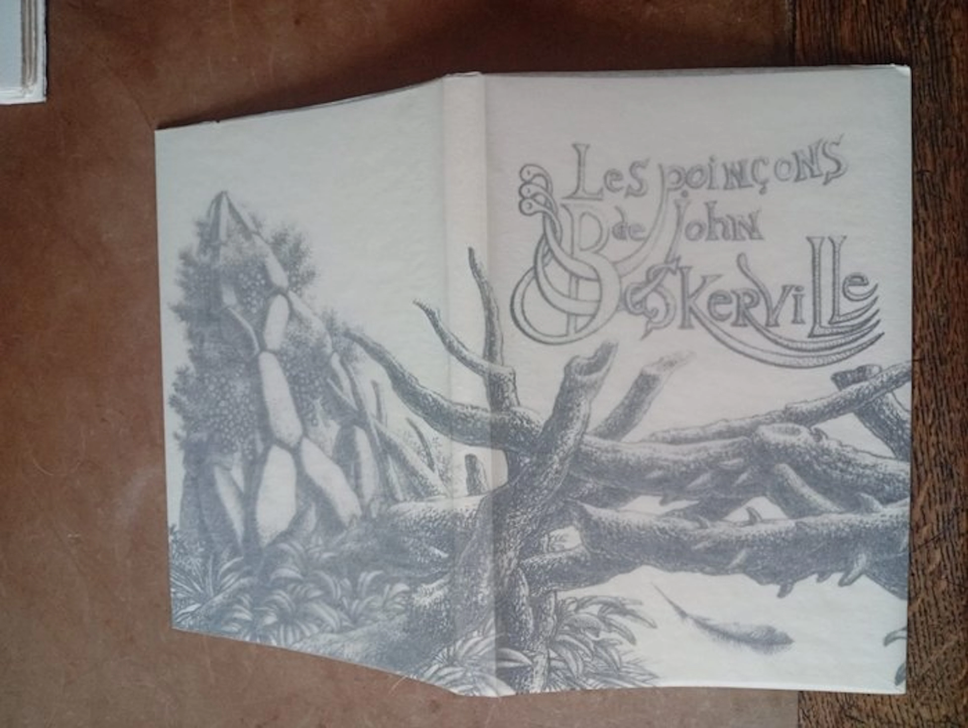 Ramón Alejandro - Les Poinçons de John Baskerville...
