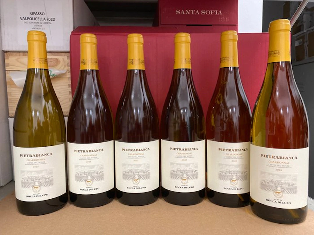 2025 Antinori