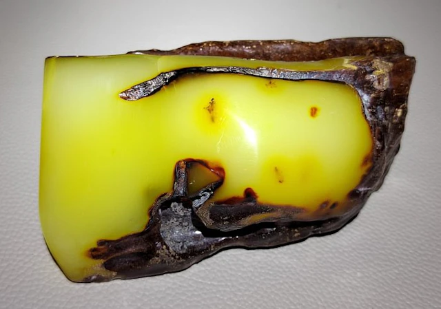 Baltic Amber- High Quality AAA - Museum- 241 g