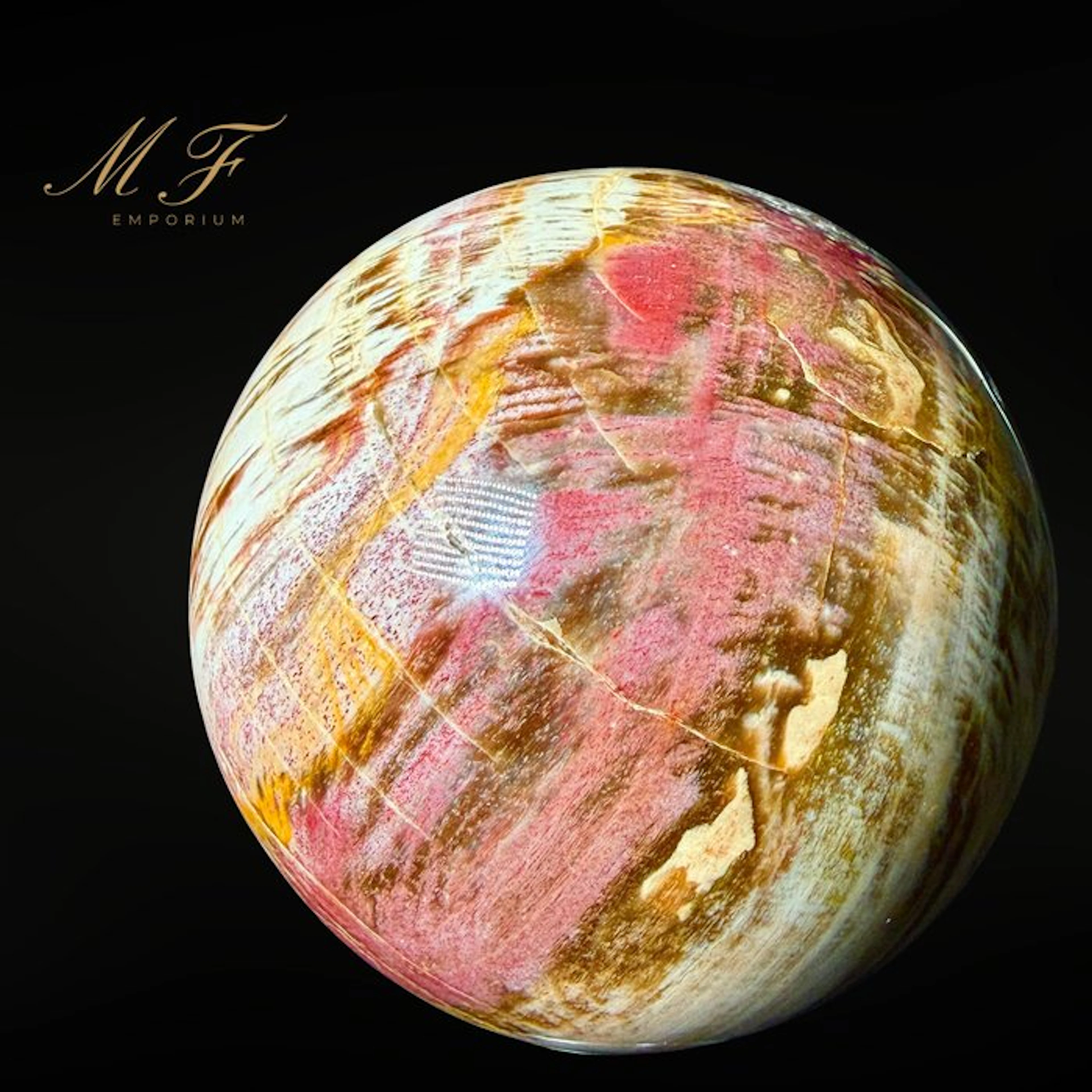 Petrified Wood Sculpture Sphere - Height: 70 mm - Width: 70 mm- 1050 g - (1)