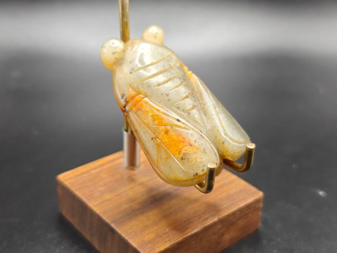 Old Serpentine Group Cicada - Height: 49.8 mm - Width: 32.33 mm- 35.79 g