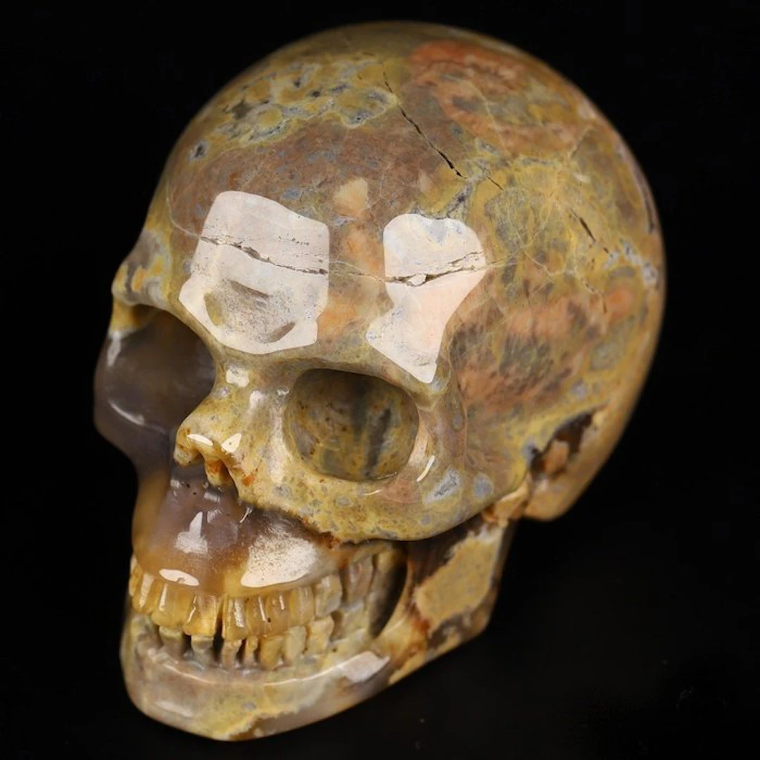 World Rarity 89 g 5.20 x 3.00 cm AA Dinosaur Gembone Utah...