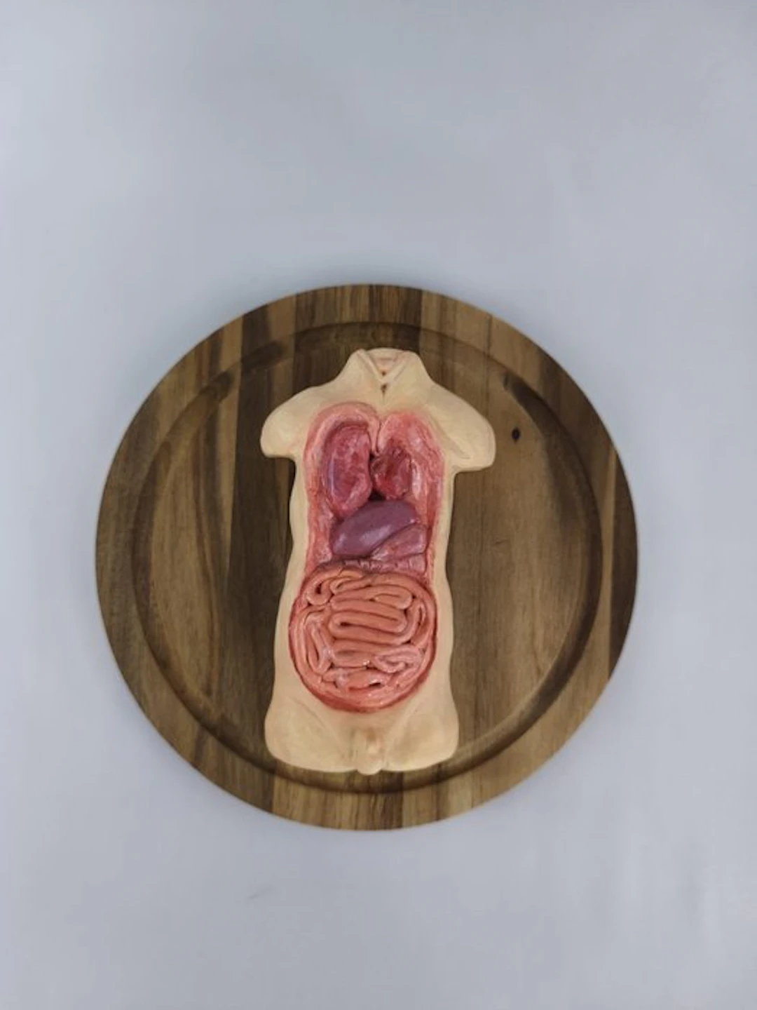Natalia Mc Donald - Human Anatomy