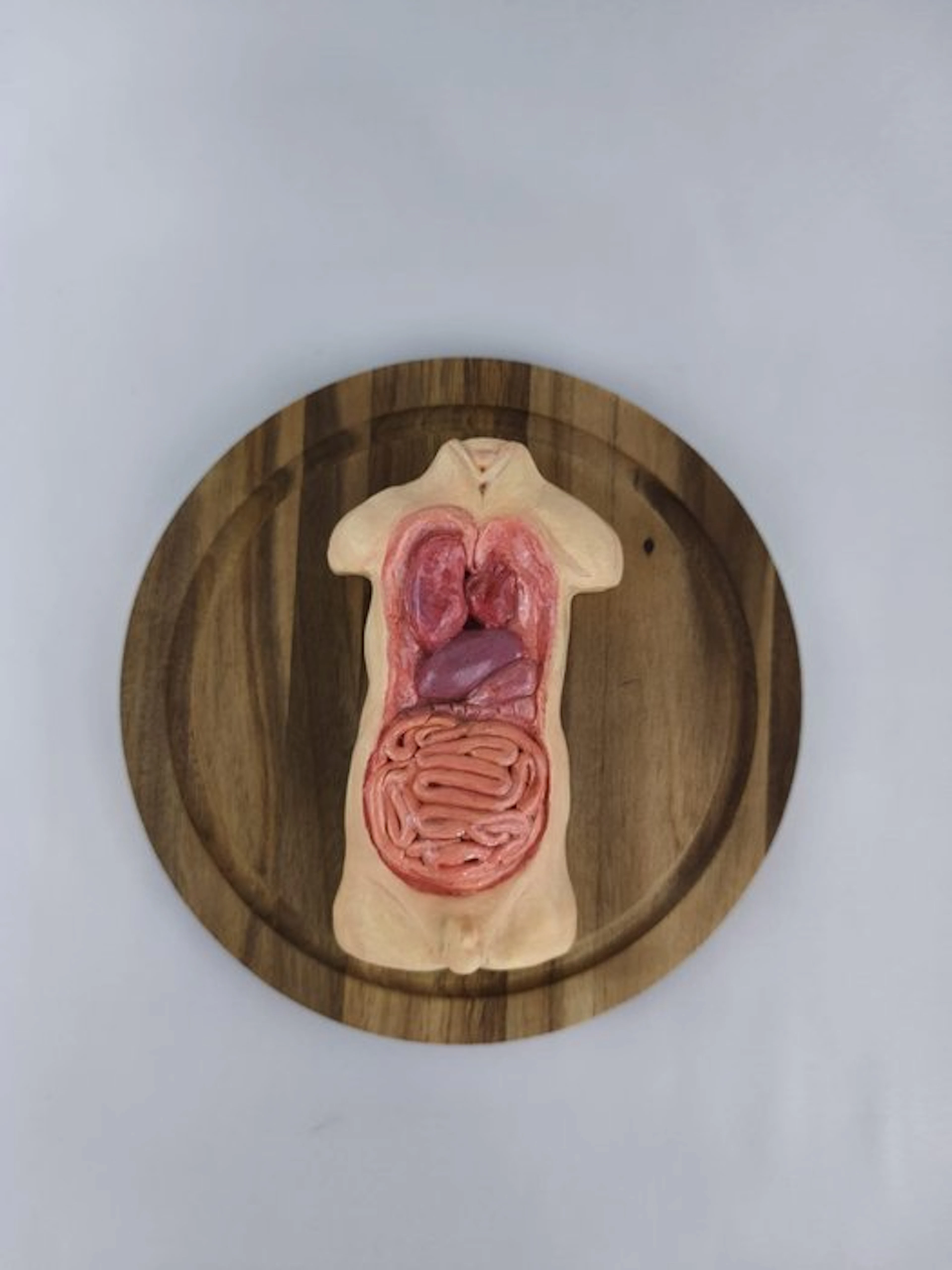 Natalia Mc Donald - Human Anatomy