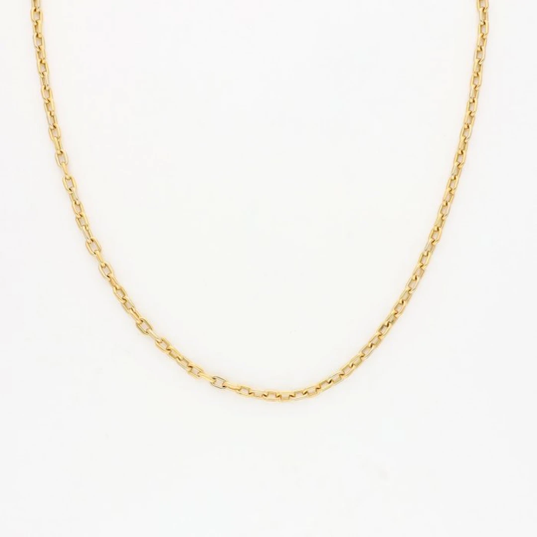 Chain - 14 kt. Yellow gold