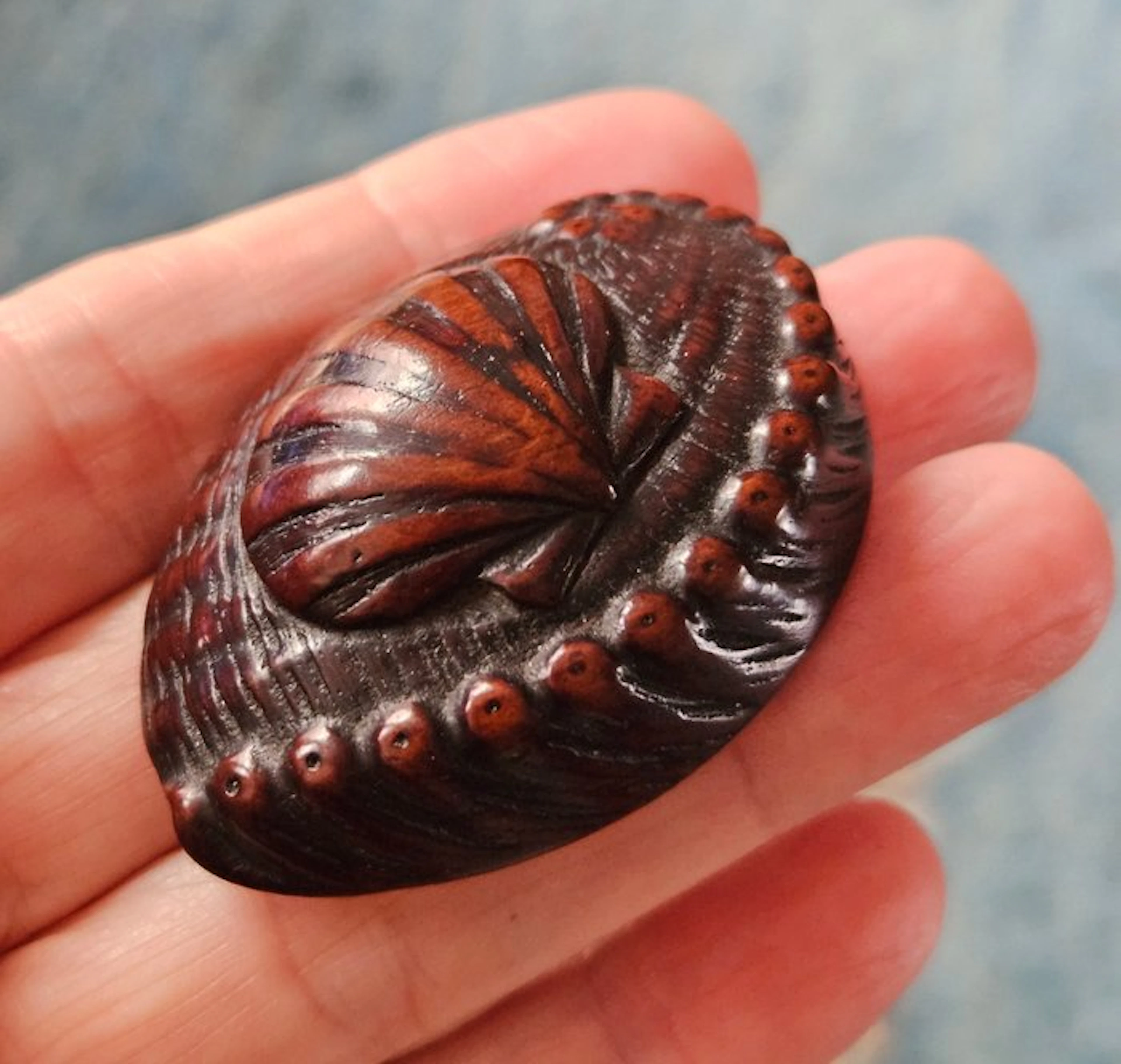 SCHELPEN - Wood (Boxwood) - Japan - 19th century (Edo period)