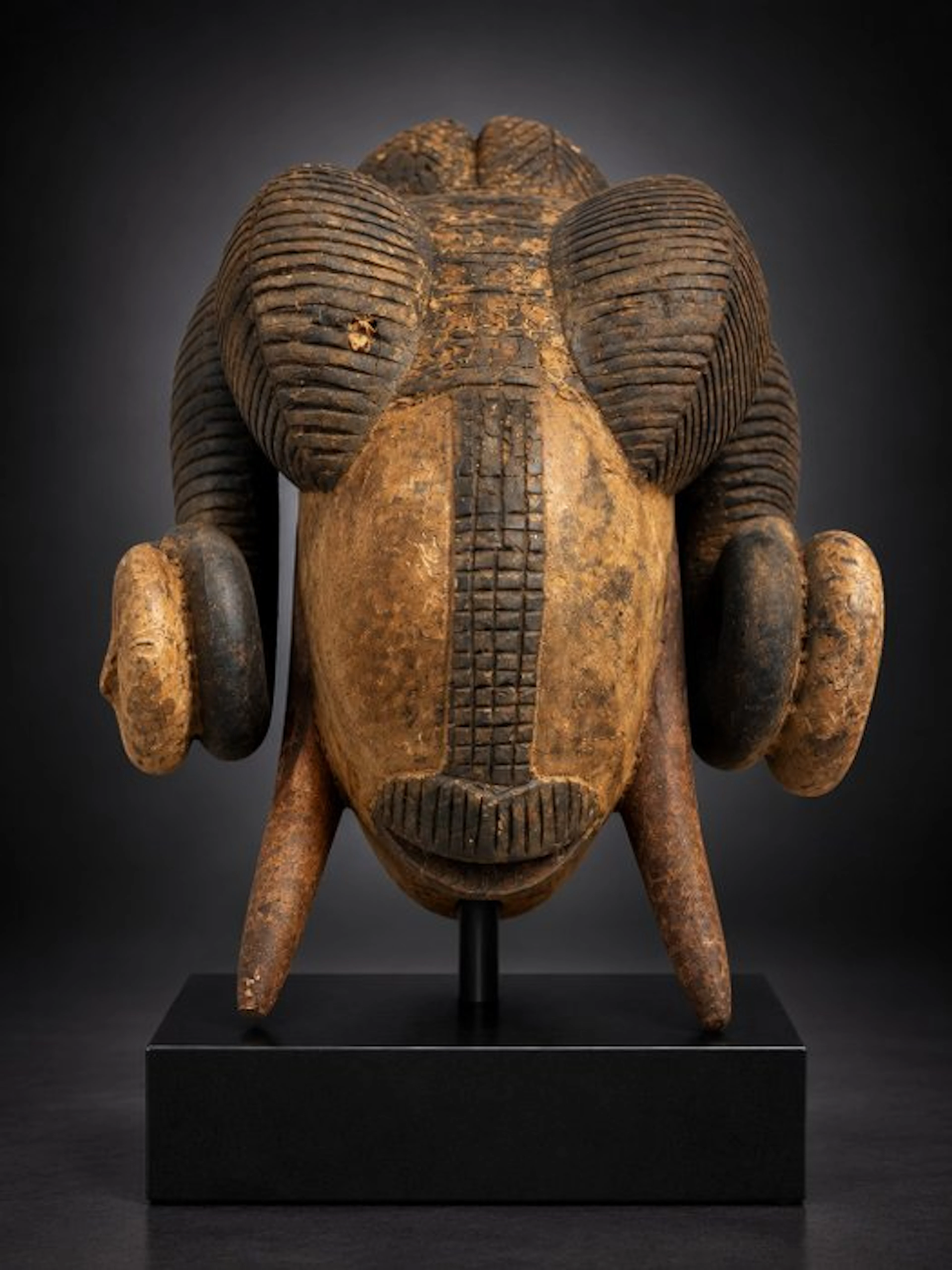 Masked Baoulé ram - Baoulé mask ram - Baule - Côte d'Ivoire (No reserve price)