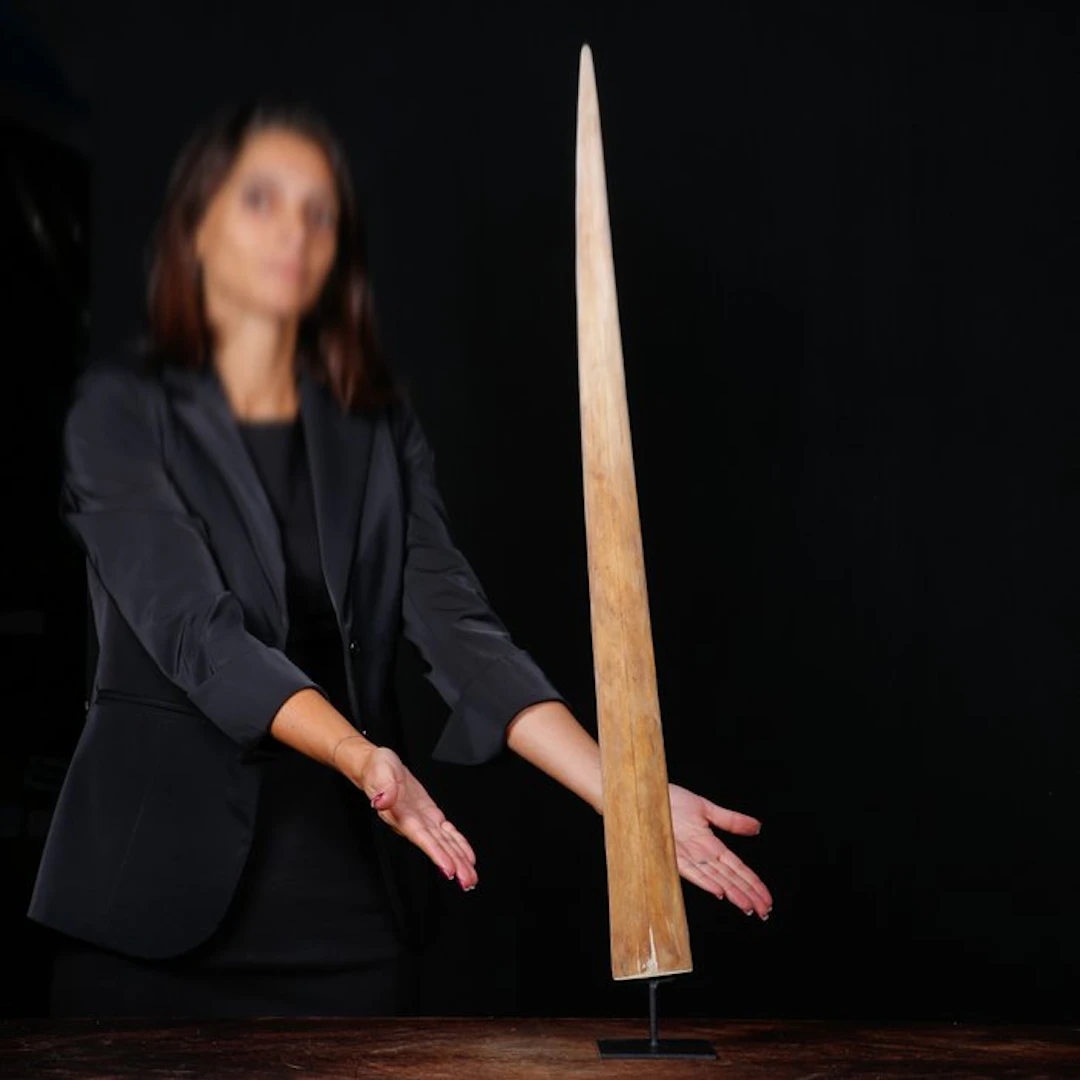 Wonder Woman's sword? No