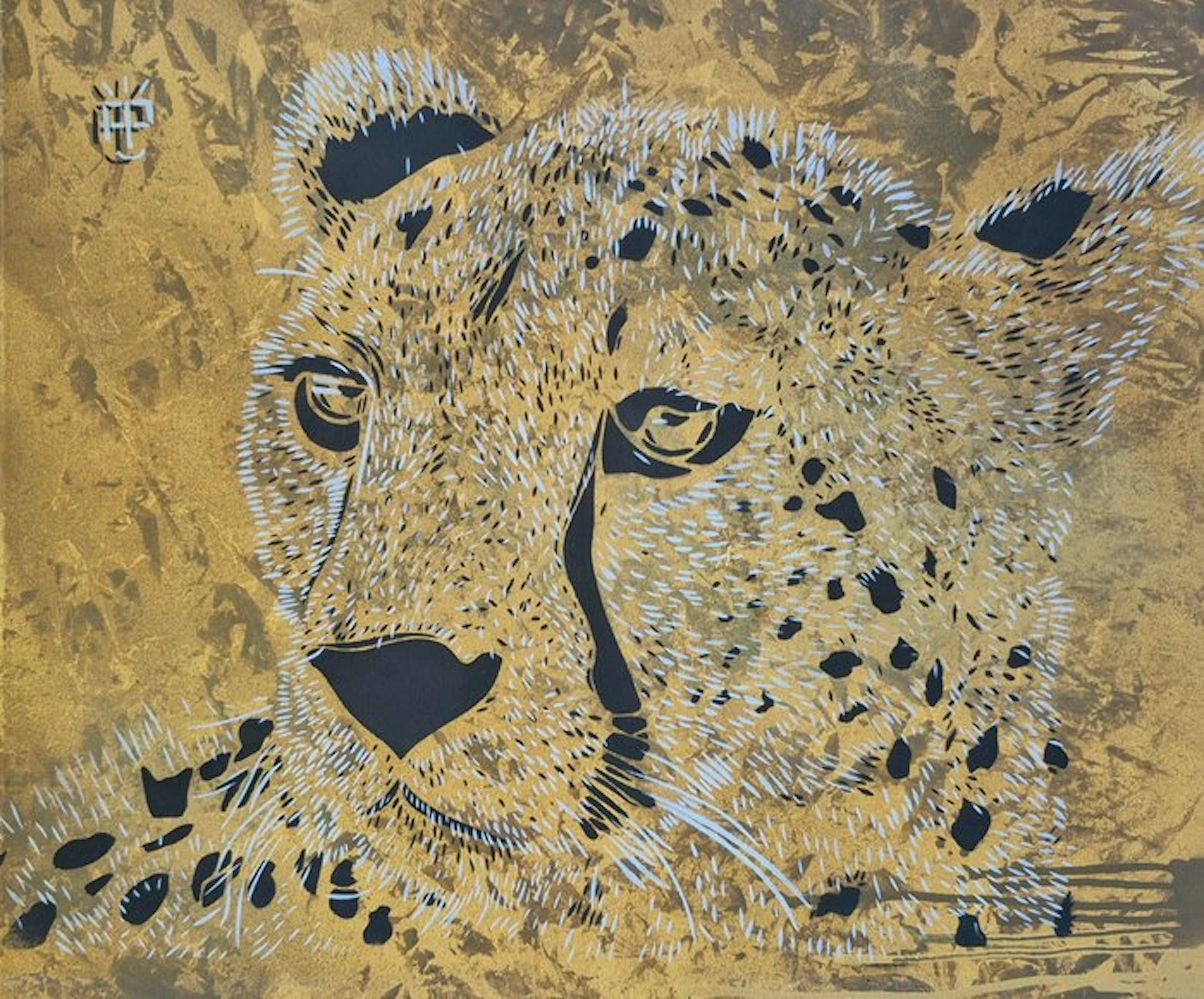 Alexandre Petrus (1988) - LE GUEPARD