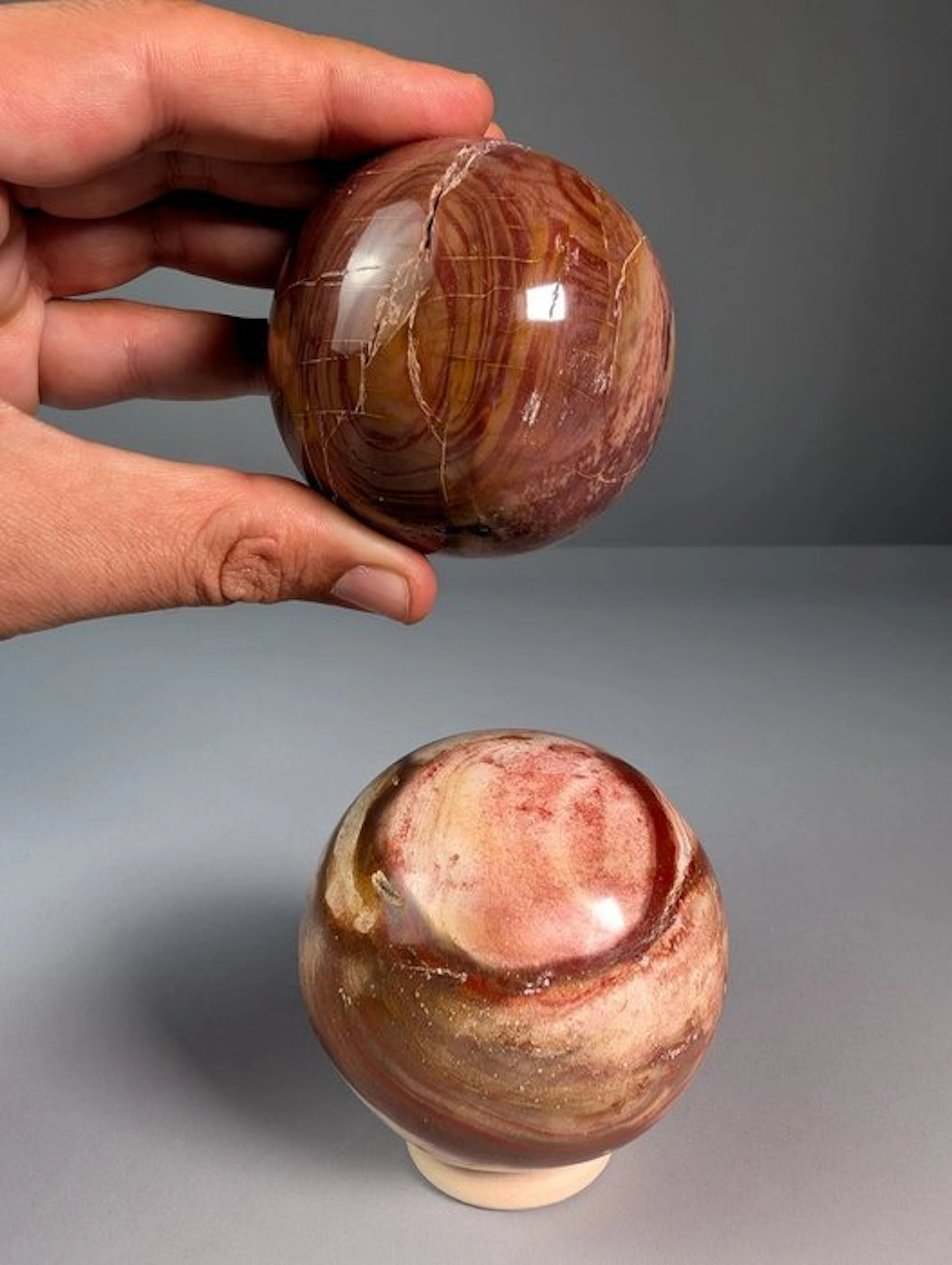 Pair of Polished Petrified Wood Spheres - Fossilised wood...