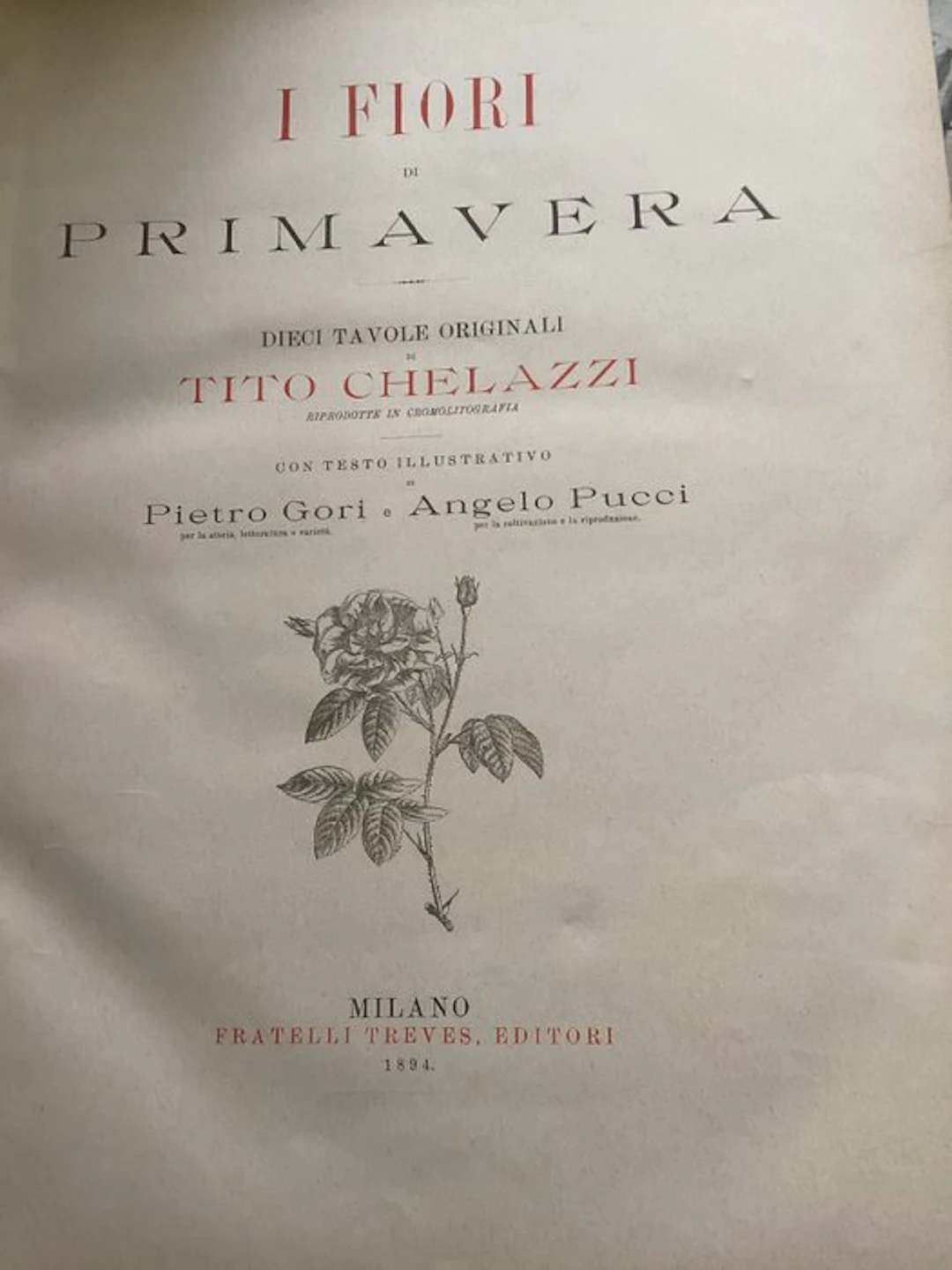 Pietro Gori; Angelo Pucci; Tito Chelazzi - I Fiori di Primavera dell'Estate