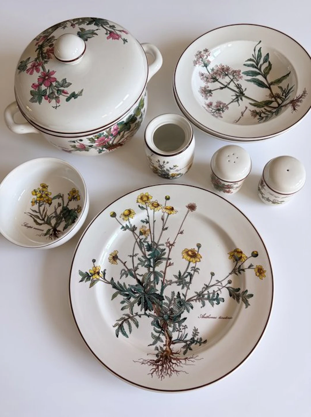 Villeroy & Boch - Table service - Porcelain