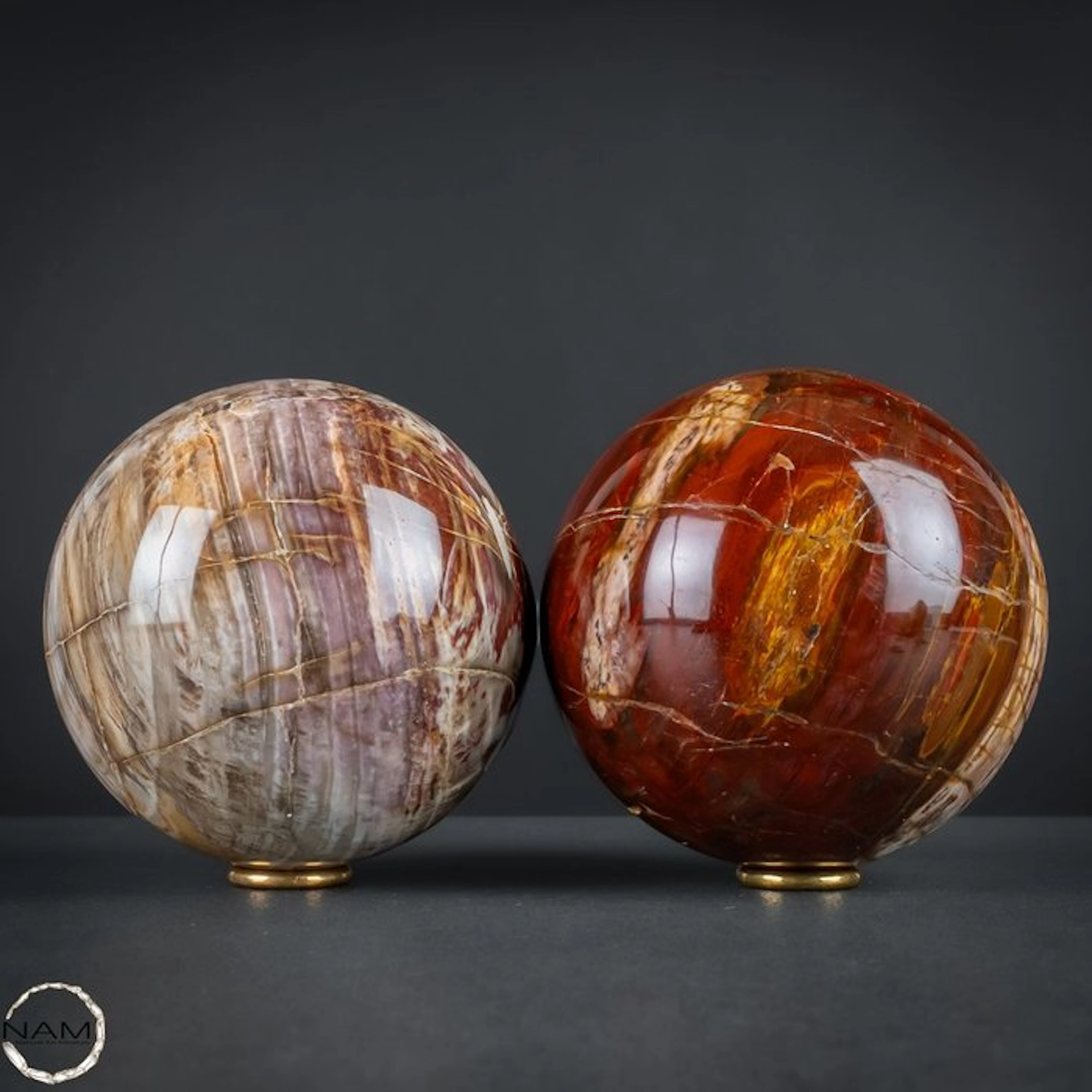 Petrified wood – Fascinating sphere- Duo with natural...