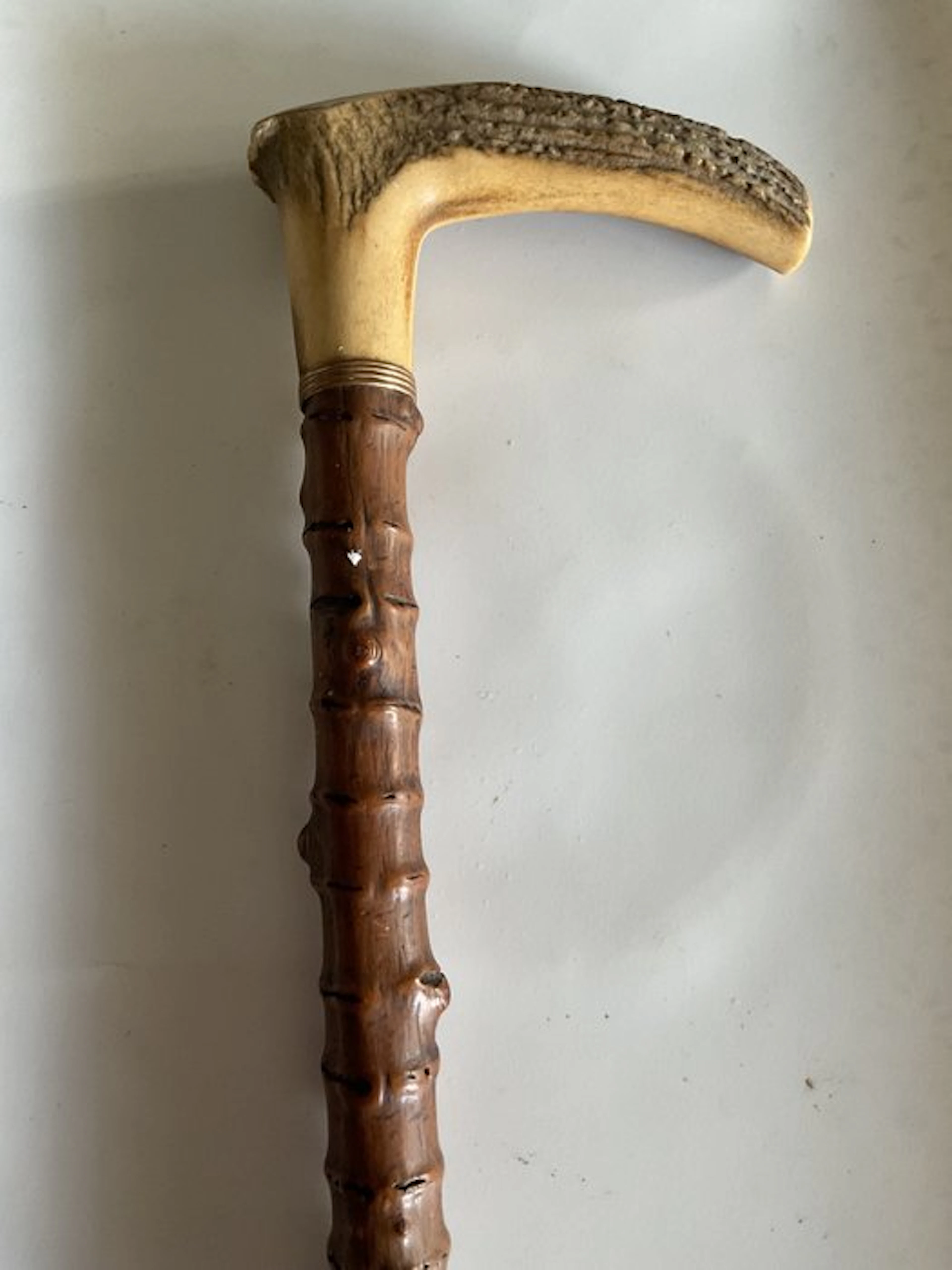 Walking stick - with a horn handle.