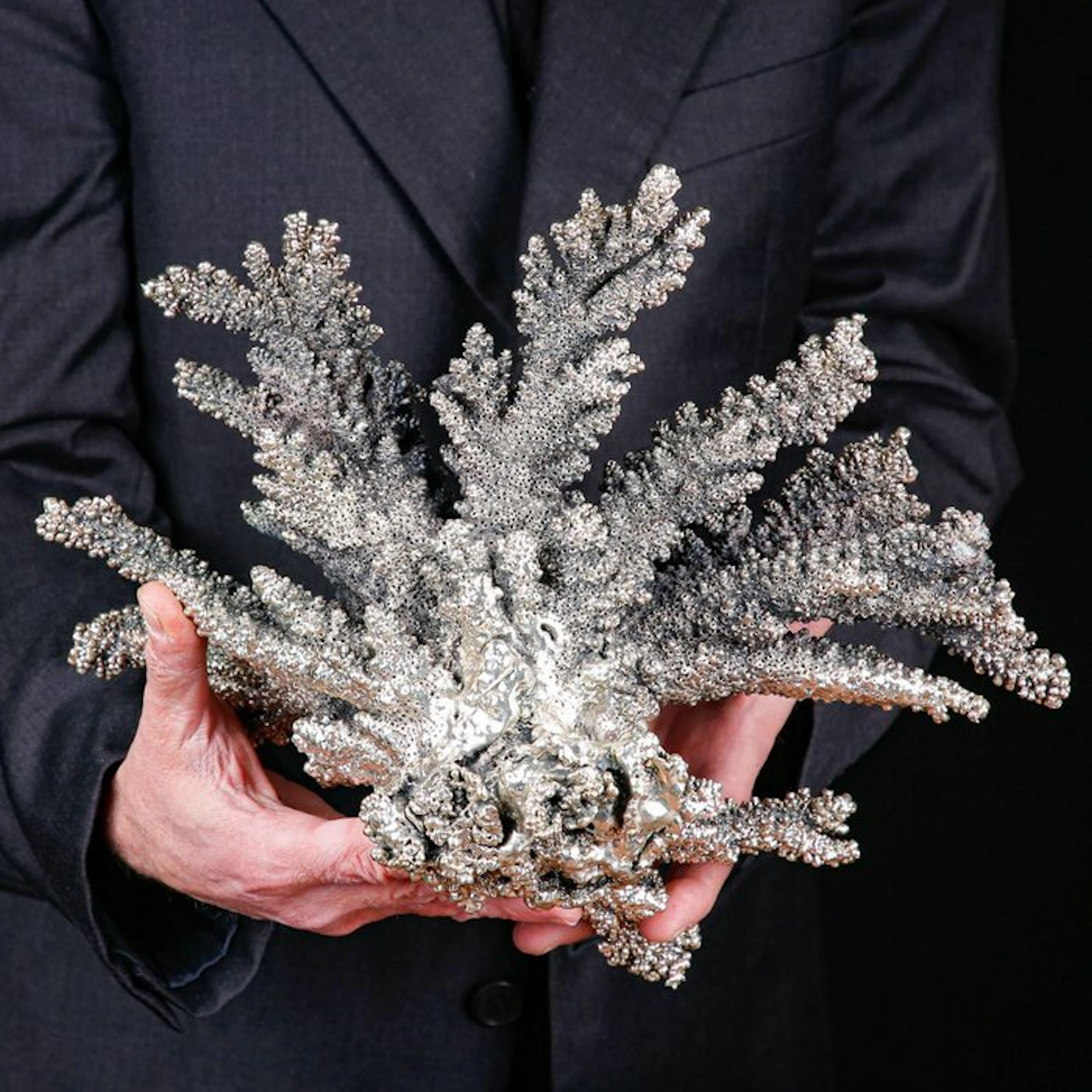 White Coral Covered in 925 Silver - Acropora Florida...