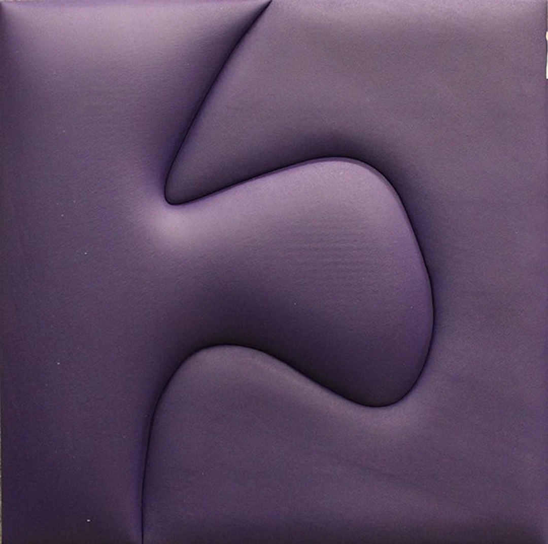 Samuele Ventanni (1986) - Introiezione: viola