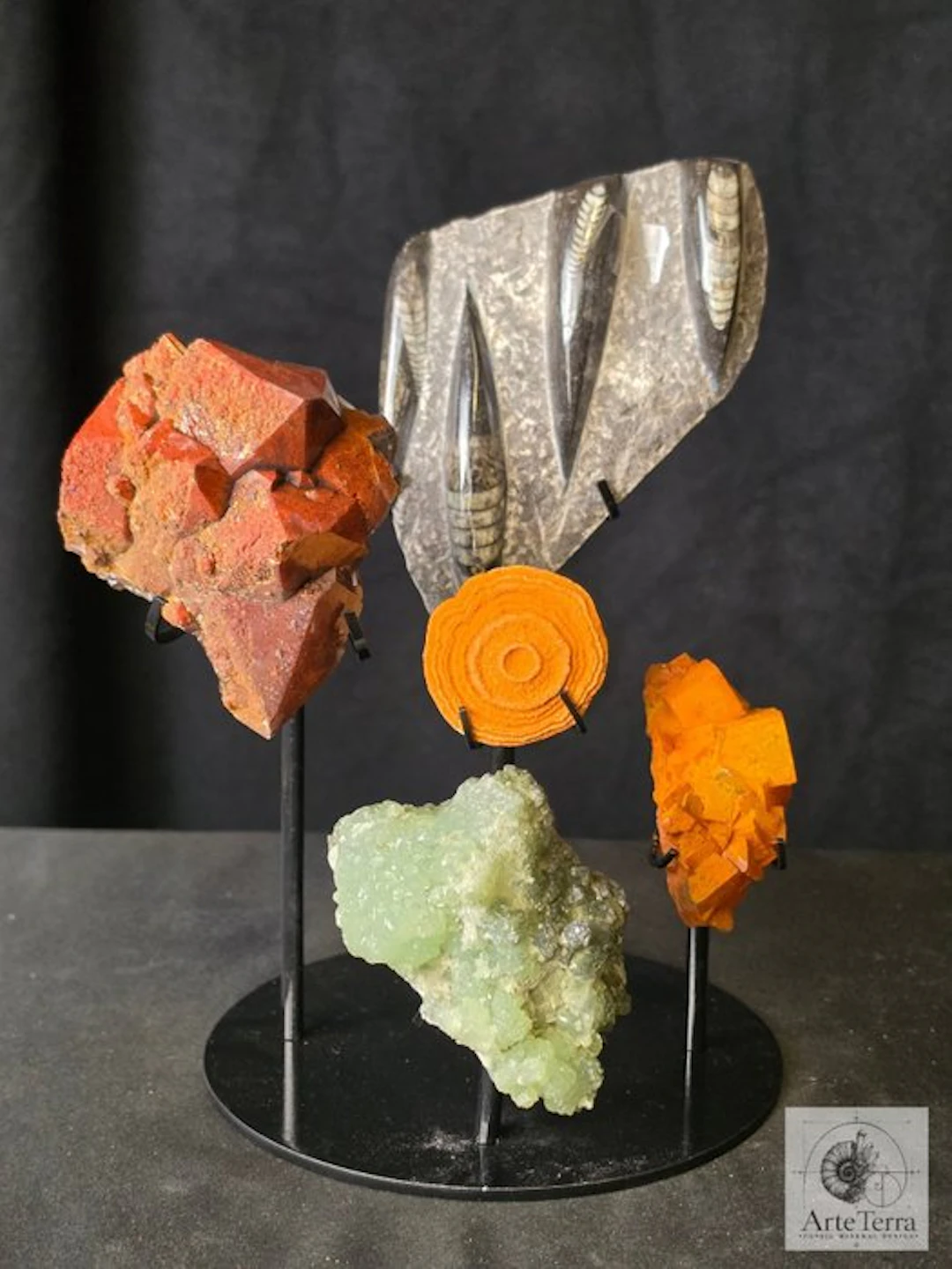 Fossilised animal - Vanadinite