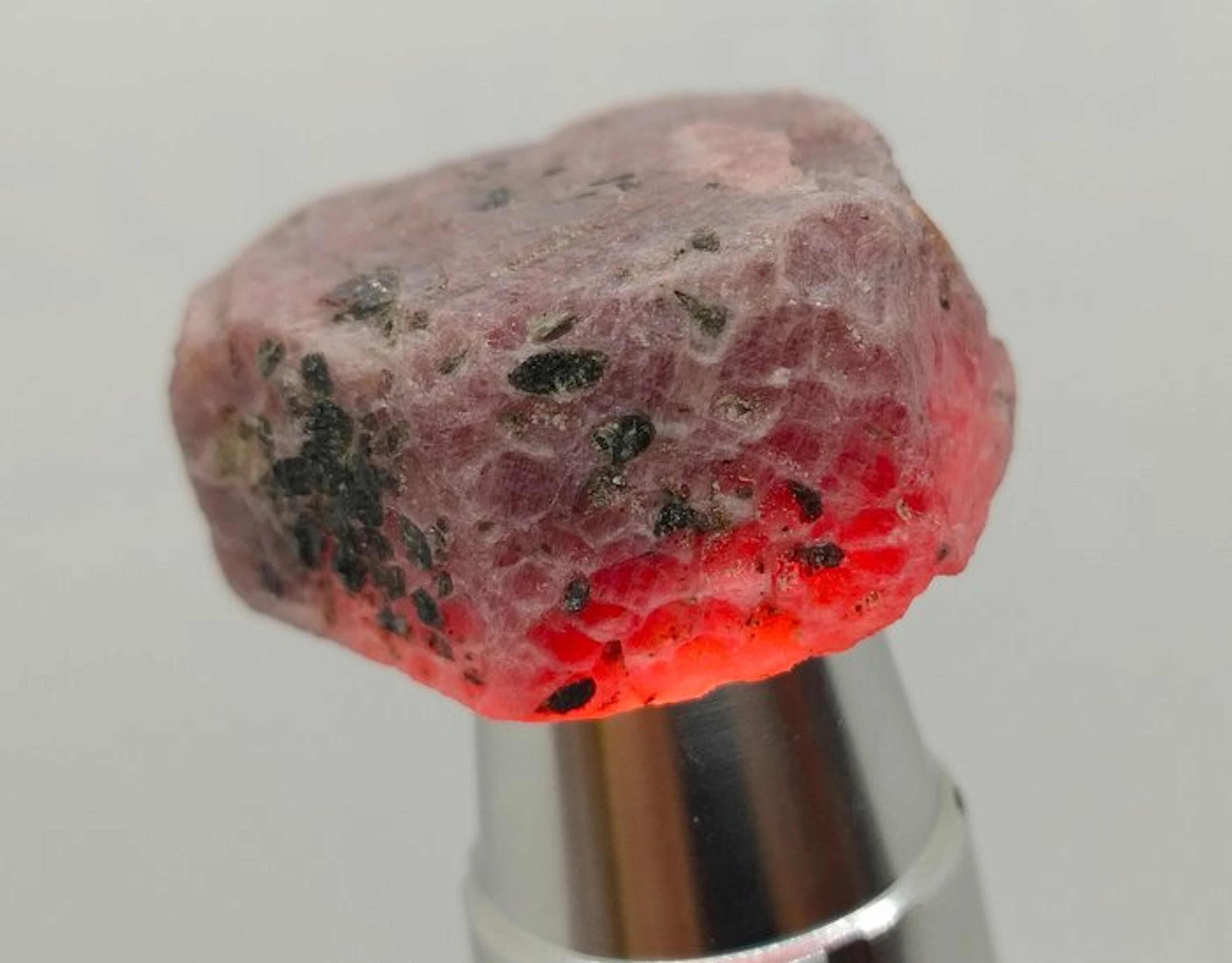360 ct - HUGE Untreated Ruby - Rough- 72 g