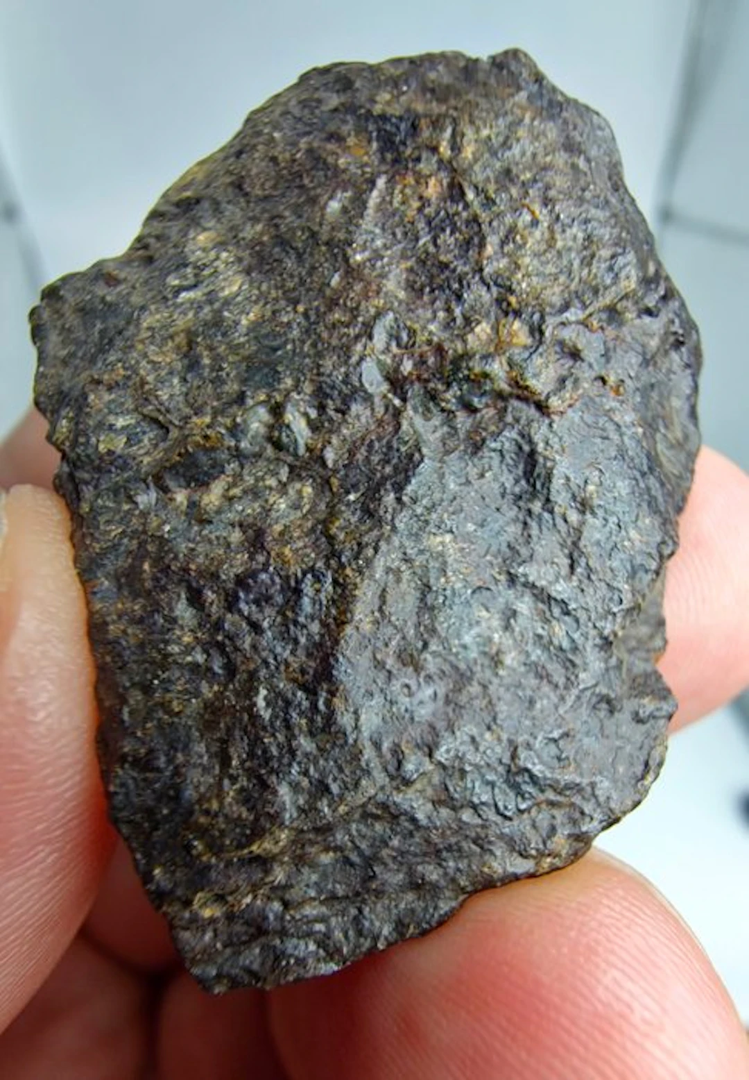 Lodranite Meteorite. NWA 17904. The meteorite is an annealed breccia. - 22.25 g