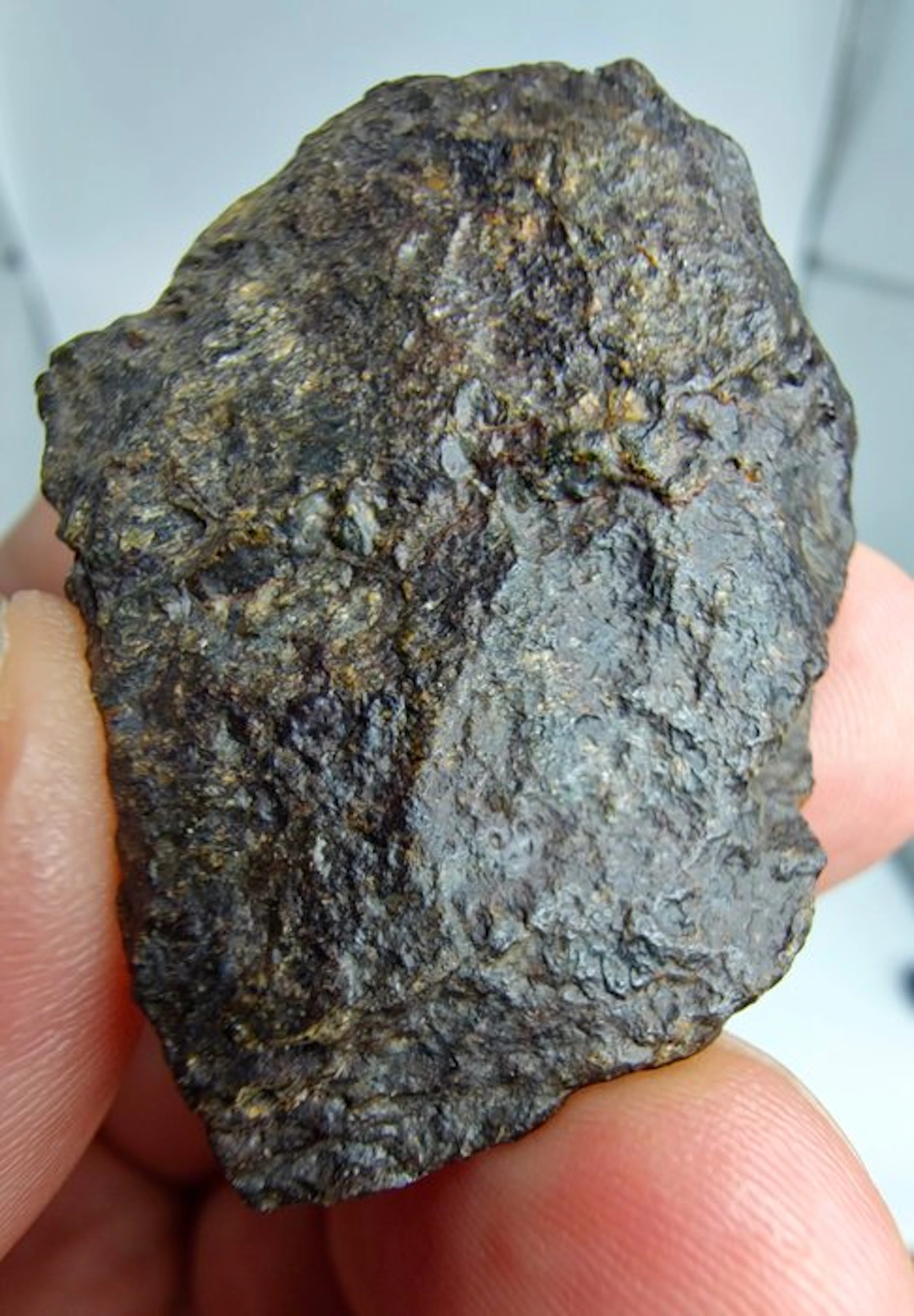 Lodranite Meteorite. NWA 17904. The meteorite is an annealed breccia. - 22.25 g