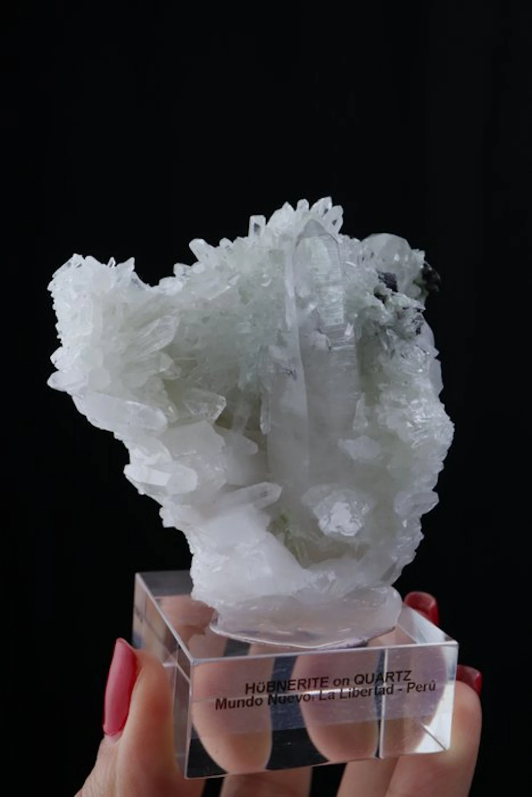 Aesthetic Hubnerite and Augelite on Quartz Mineral...