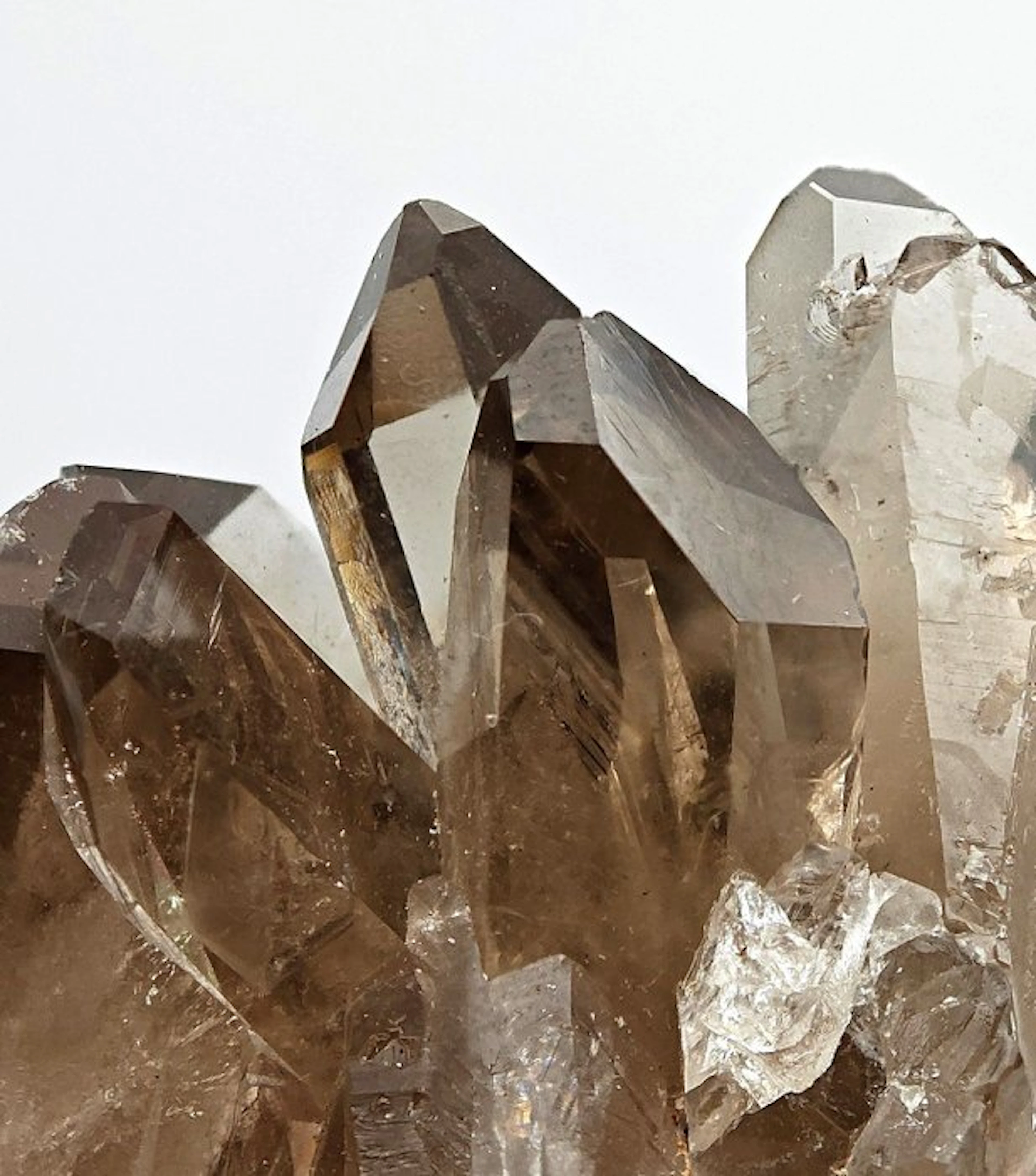 ALPINO, AESTETIC SMOKED QUARTZ