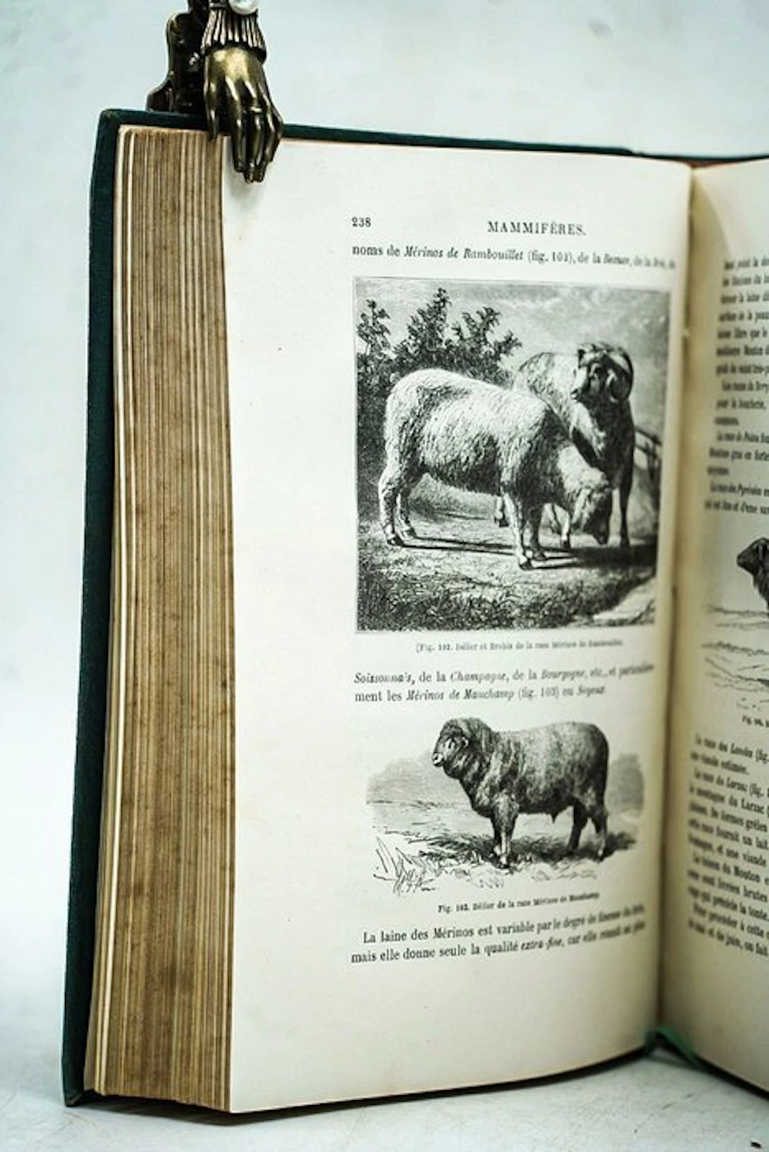 Louis Figuier - La vie et les mœurs des animaux : Les mammifères - 1869