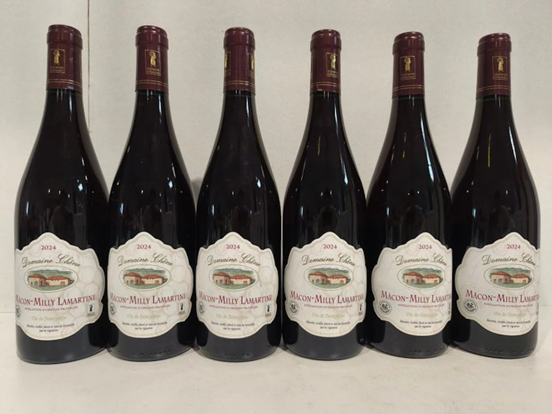 2024 Mâcon-Milly Lamartine Domaine Chêne - Burgundy - 6 Bottles (0.75L)