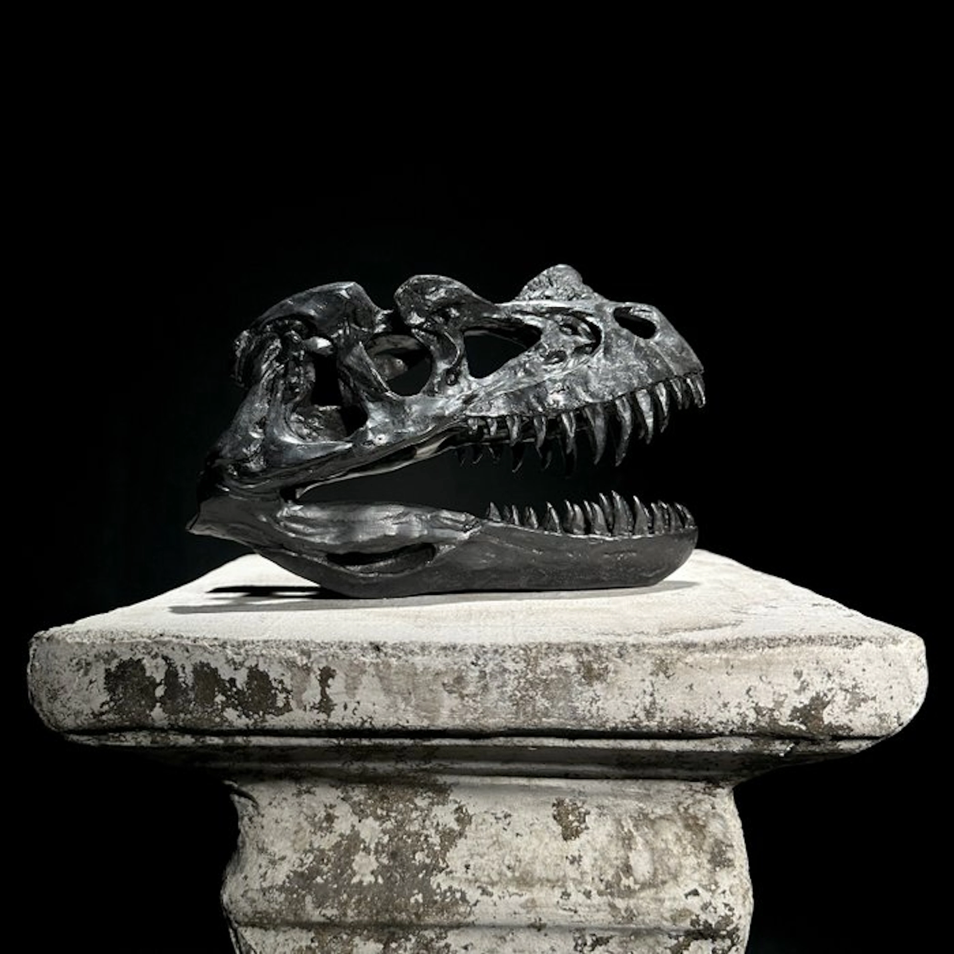 NO RESERVE PRICE - A Replica of Dinosaur Skull...