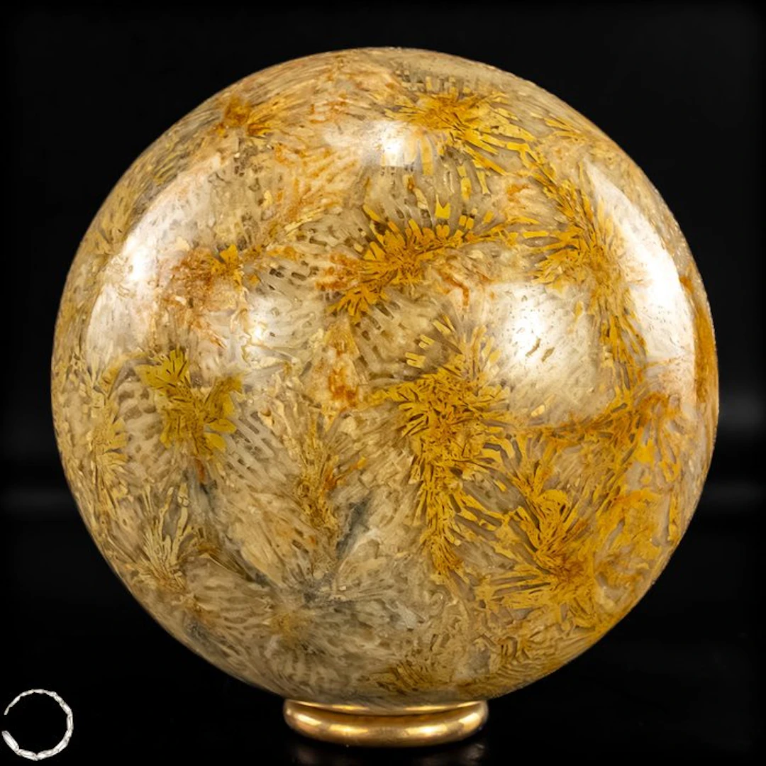 Very rare fossil coral ball – Petrified masterpiece of...