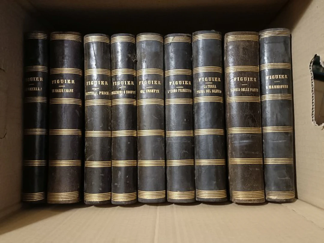 Luigi Figuier - Enciclopedia completa Luigi Figuier - 1881