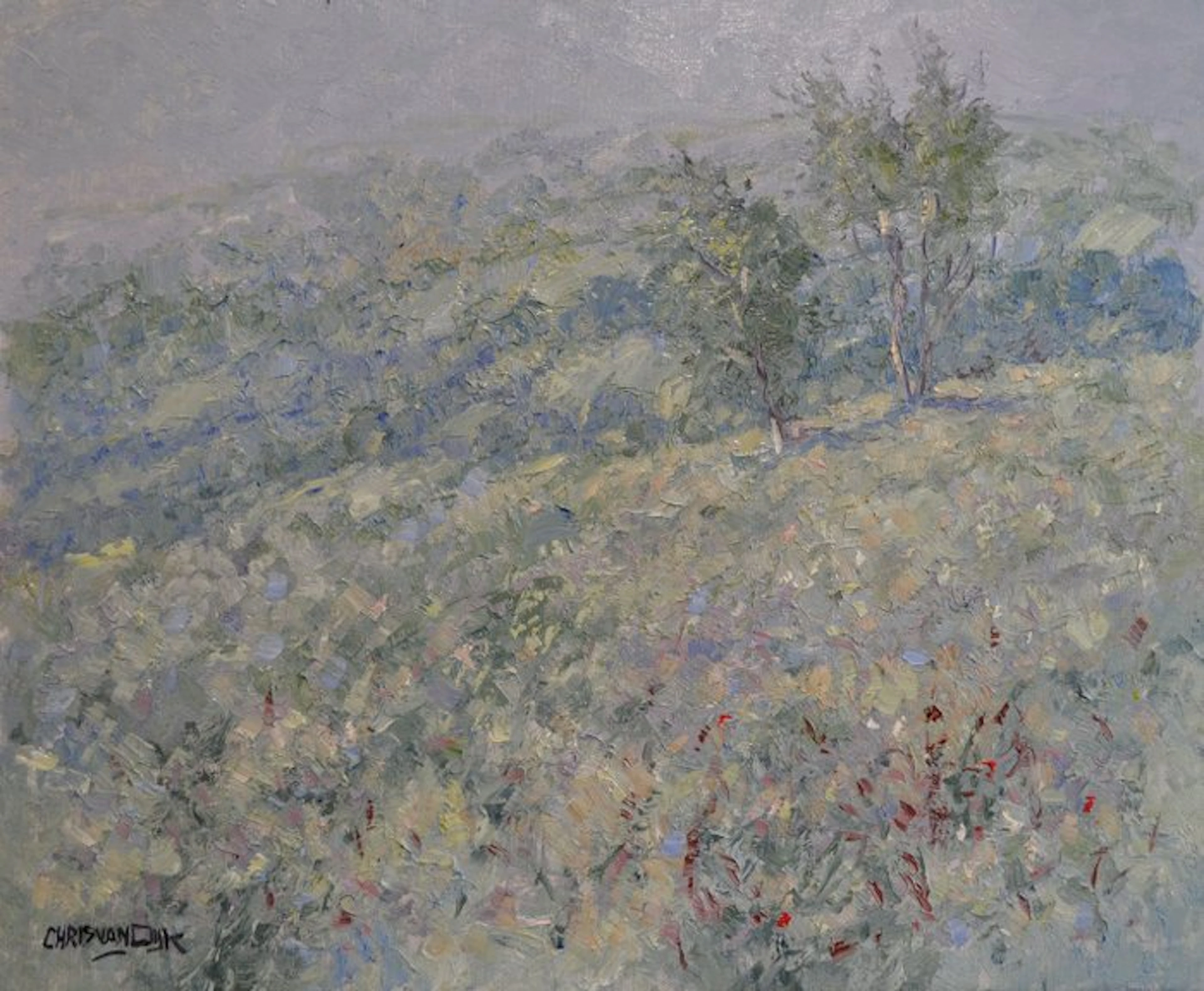 Chris van Dijk (1952) Impressionist - " Brouillard Matinal "