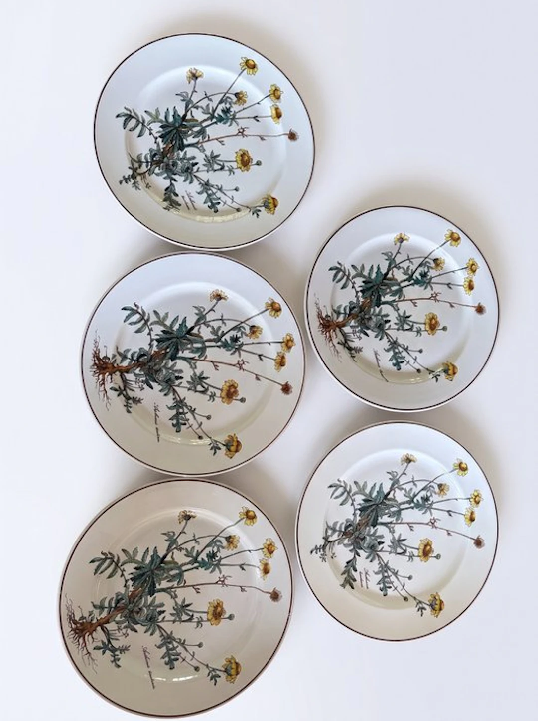 Villeroy & Boch - Table service (9) - Porcelain