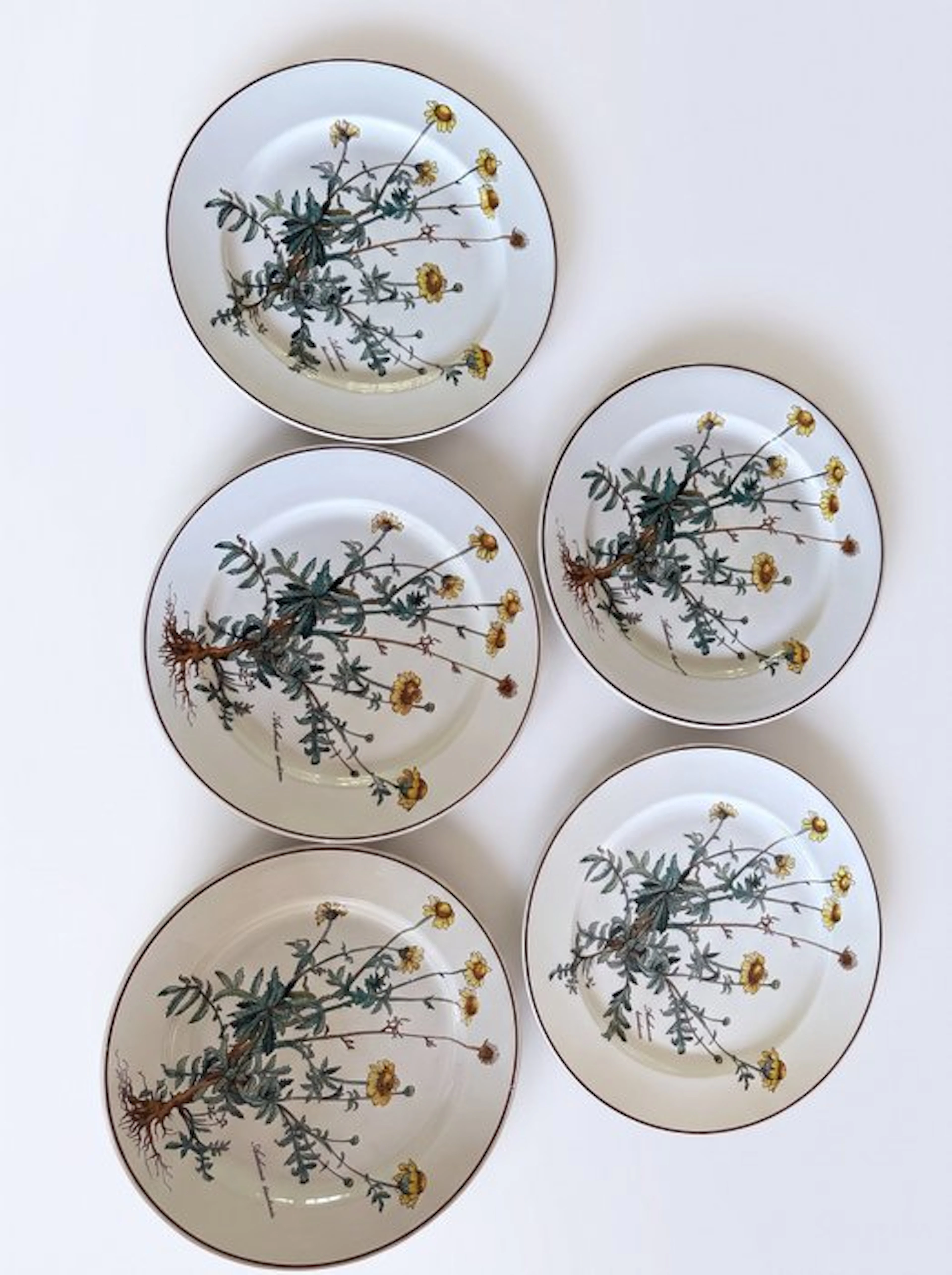 Villeroy & Boch - Table service (9) - Porcelain
