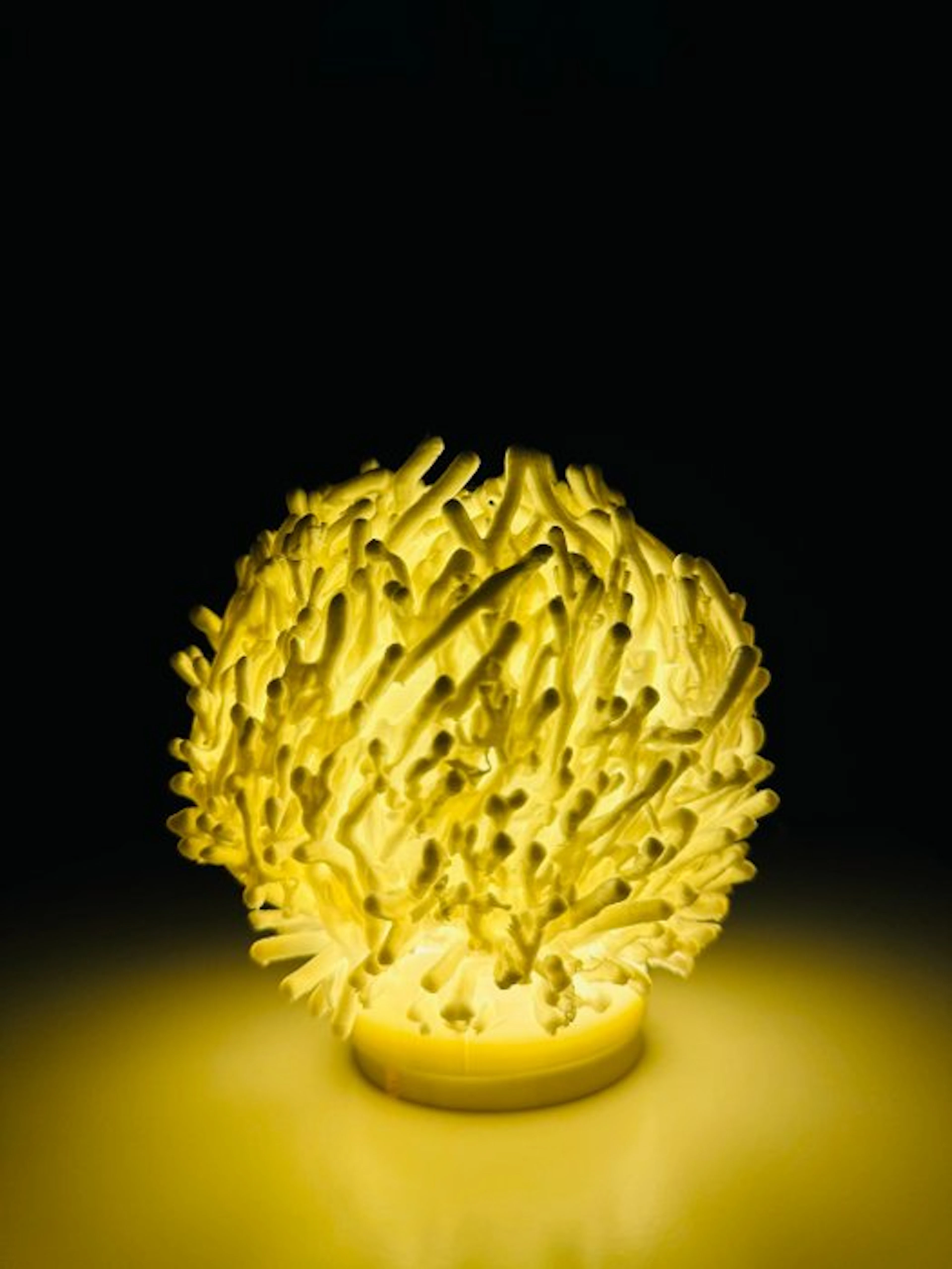 Table lamp - Plastic