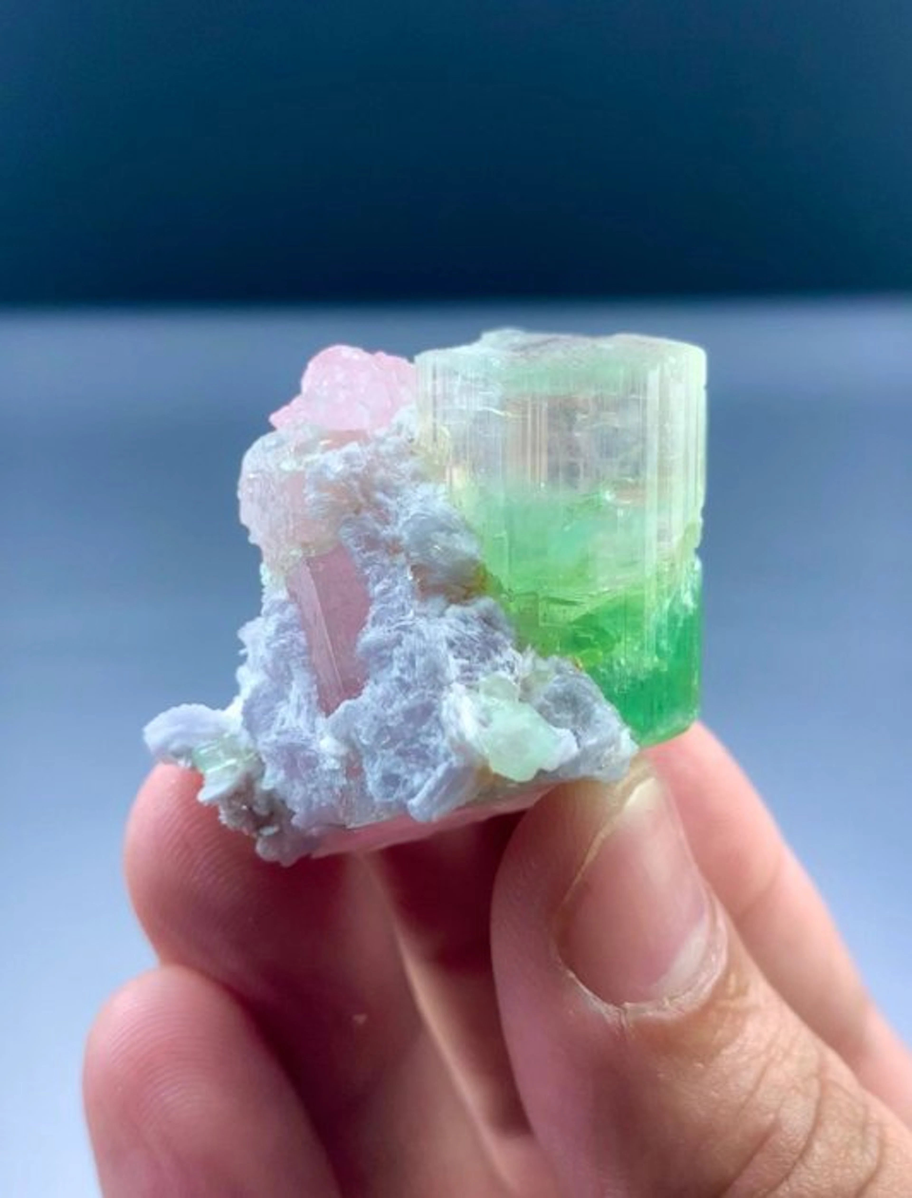 Bicolour tourmaline combine with lepidolite Specimen...