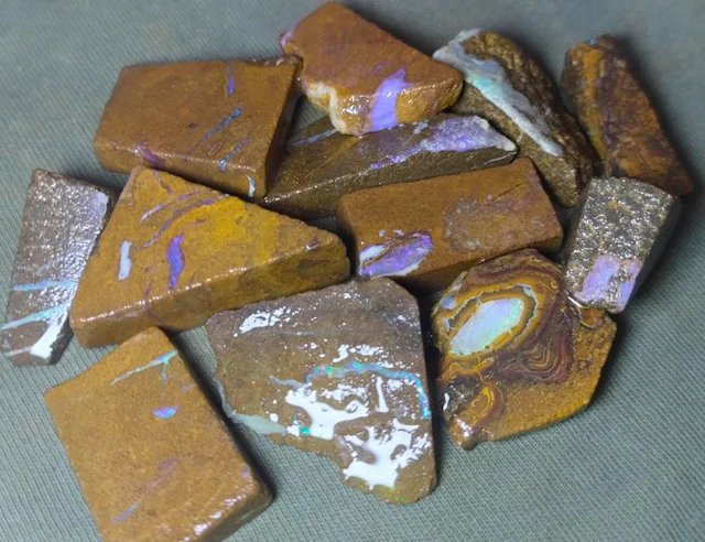 219 ct - Lot of 12 Australian Boulder Opal - Rough- 43.8 g