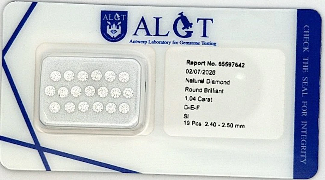 19 pcs Diamond (Natural) - 1.04 ct - Round - F