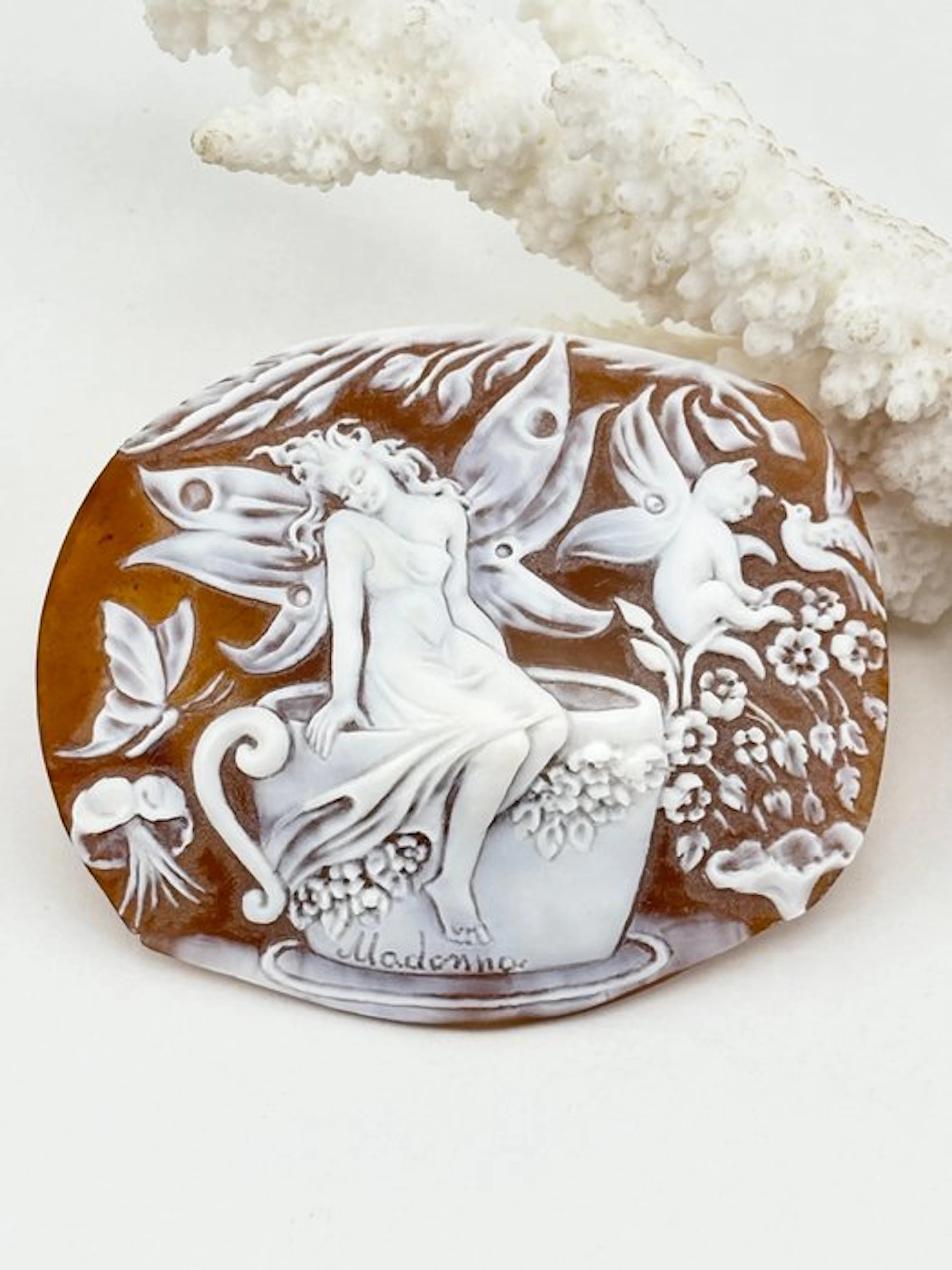 Cassis madagascariensis - Cameo - Hand-carved cameo