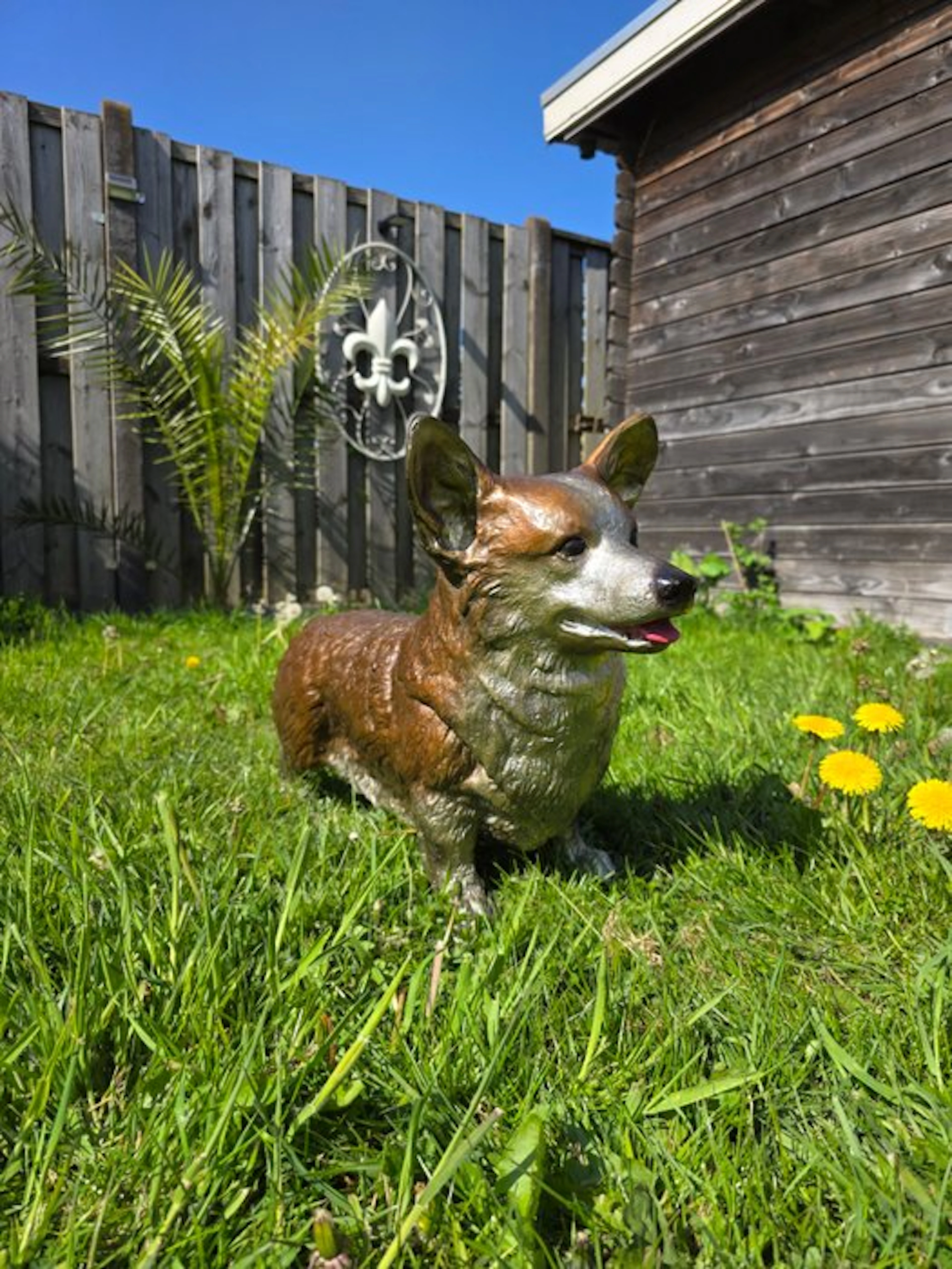 Statue, Handcrafted Bronze Corgi Dog - 38 cm - Bronze - 2026
