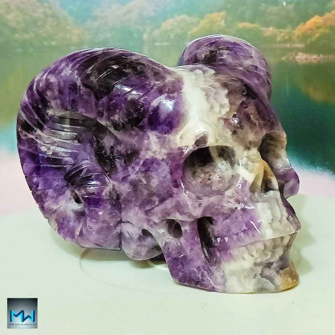 Human Skull with Ram Horns