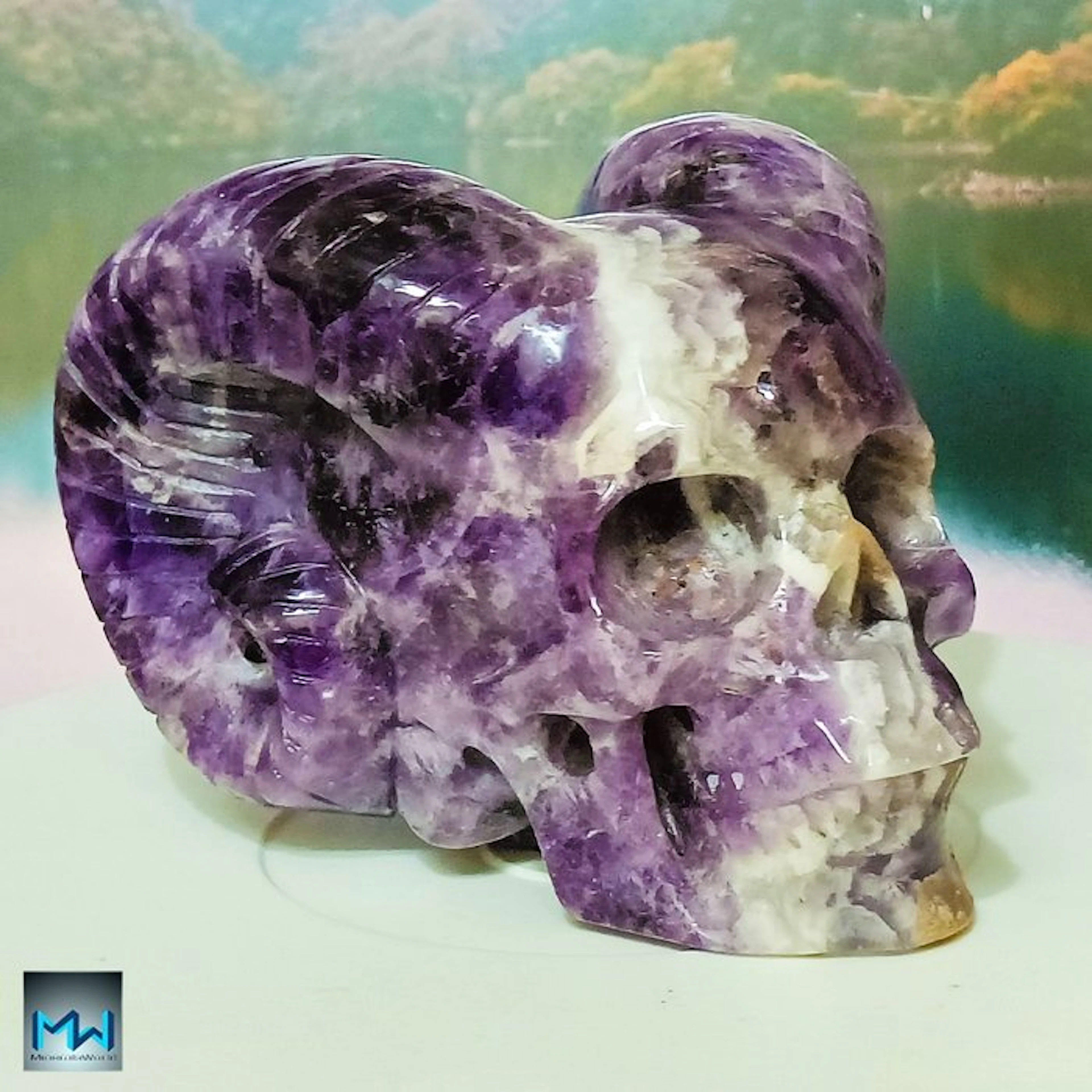 Human Skull with Ram Horns