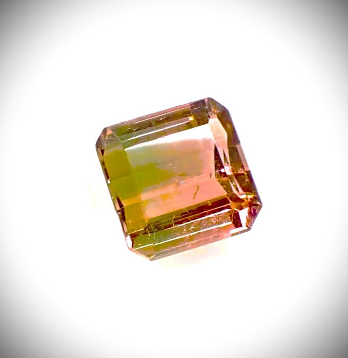 Bi-colour Tourmaline ct Antwerp Laboratory Barnebys