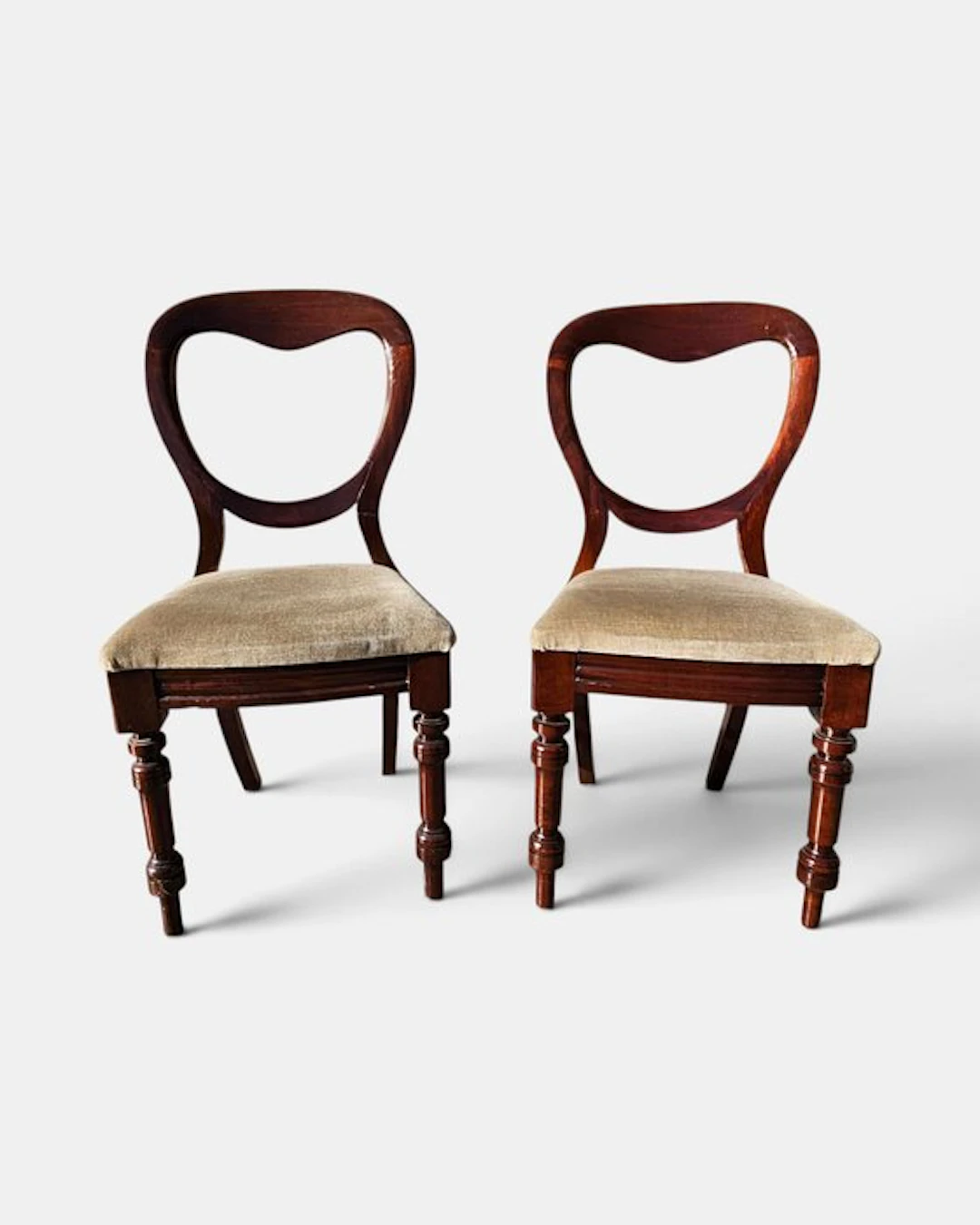 Chair (2) - Mahogany - Balloon-back chairs, 1850