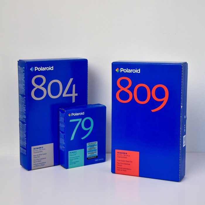 Polaroid 809 8x10in | Barnebys